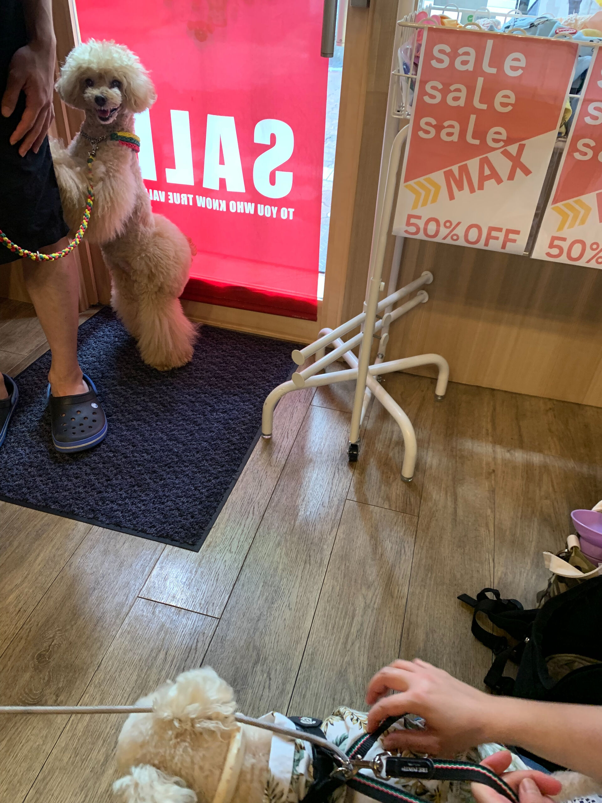 マロンちゃんご来店ありがとうございます😊