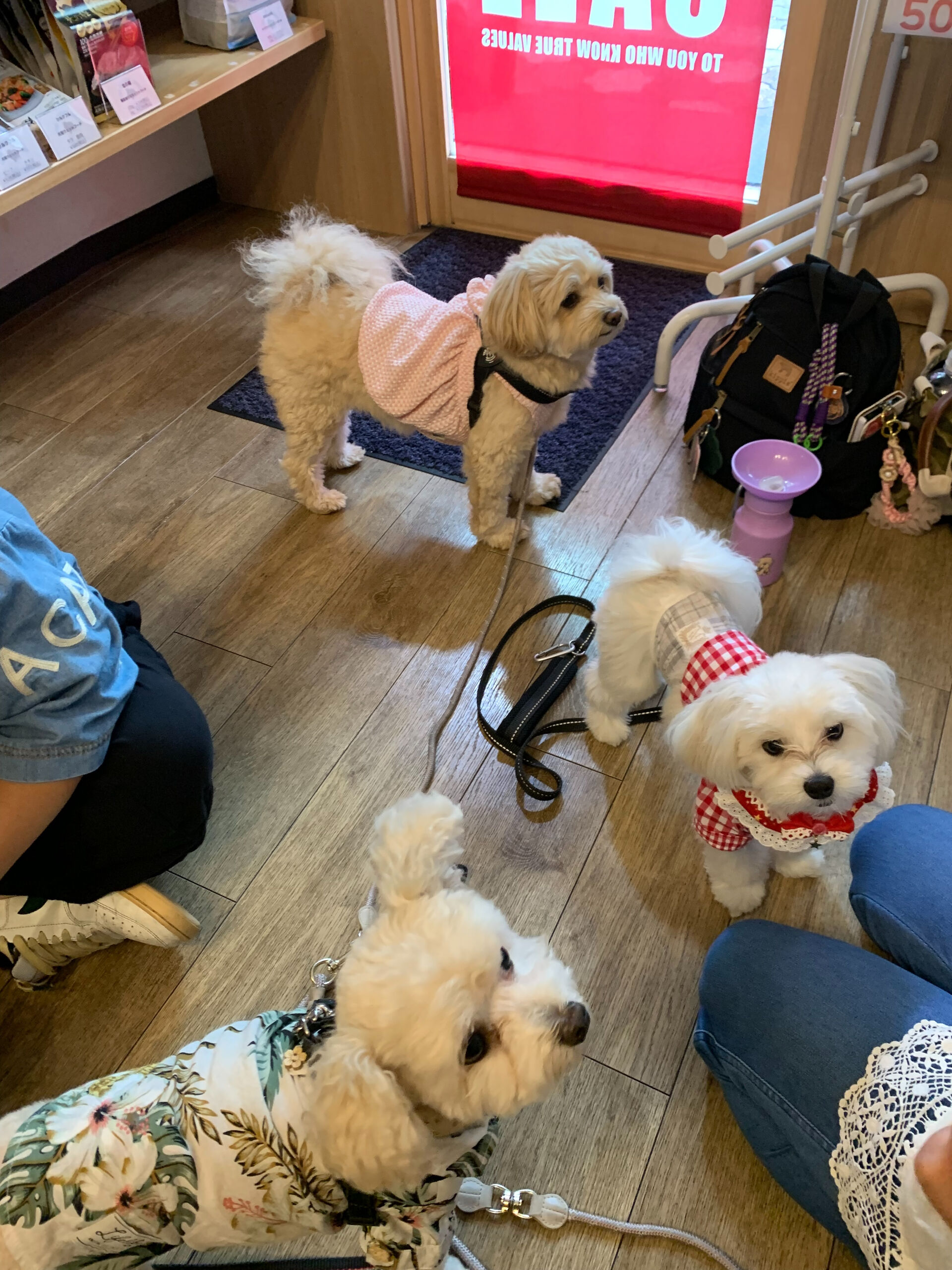 スコくんご来店ありがとうございます😊