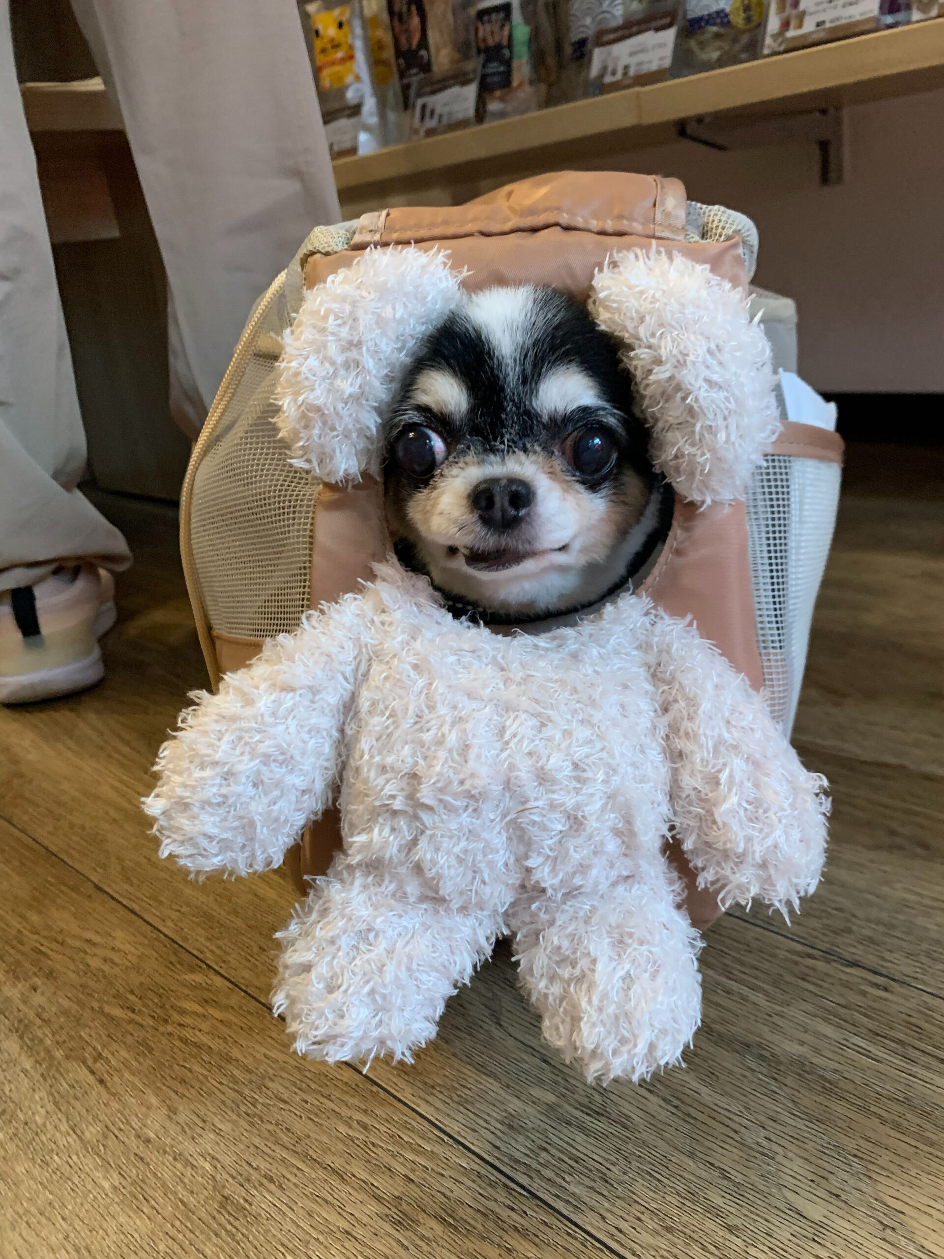 つむぎちゃんご来店ありがとうございます😊