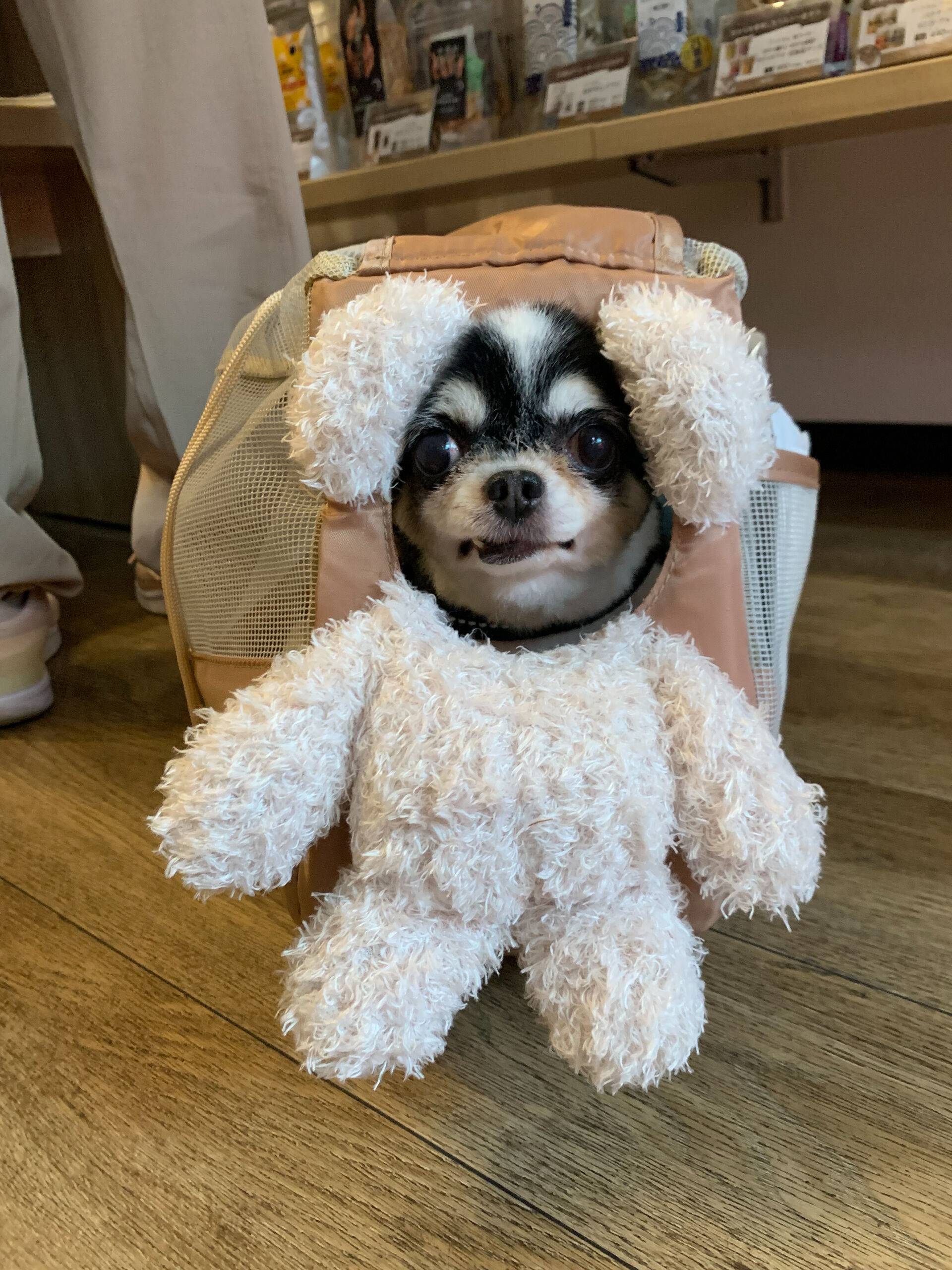 つむぎちゃんご来店ありがとうございます😊
