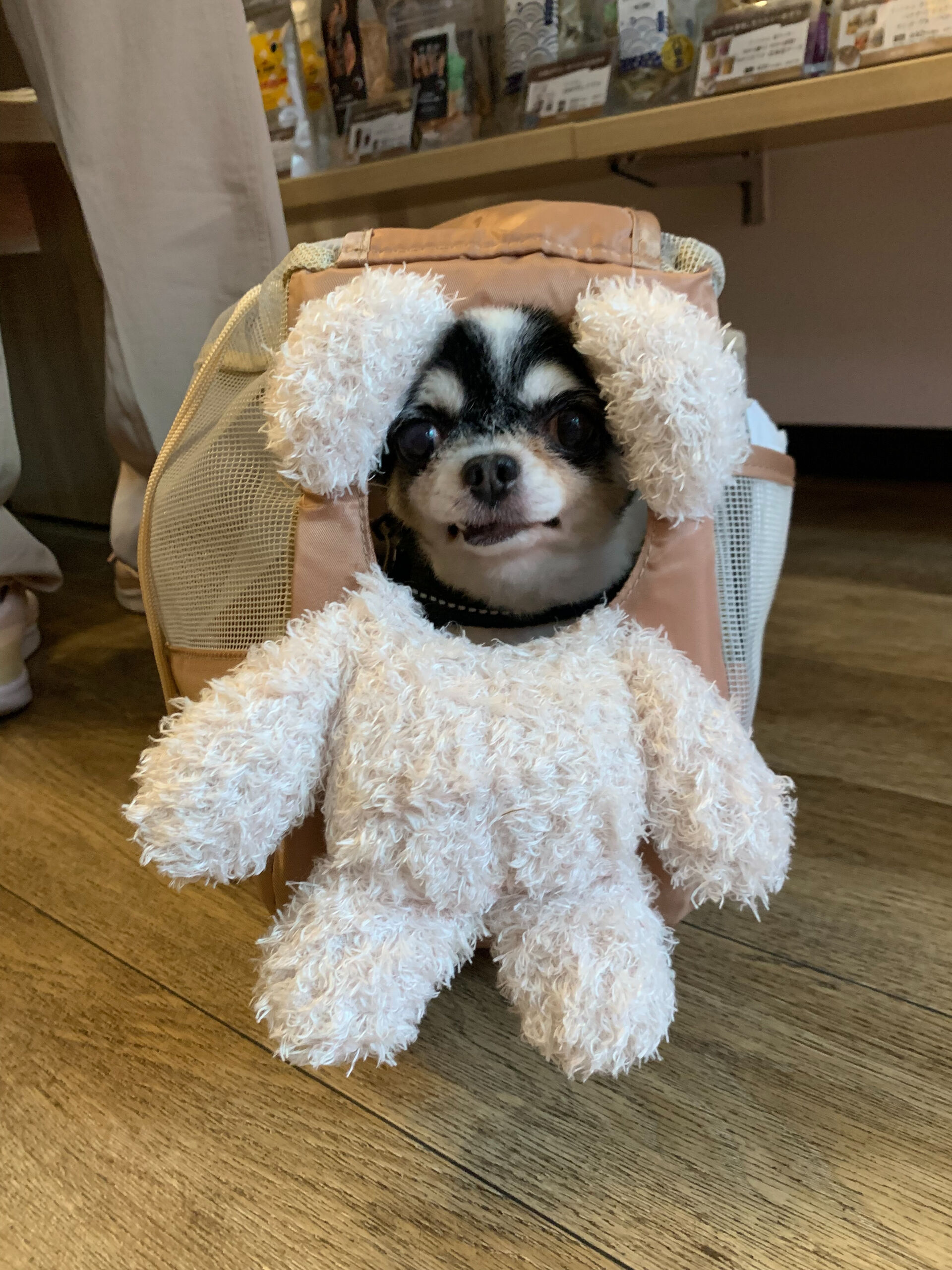 つむぎちゃんご来店ありがとうございます😊
