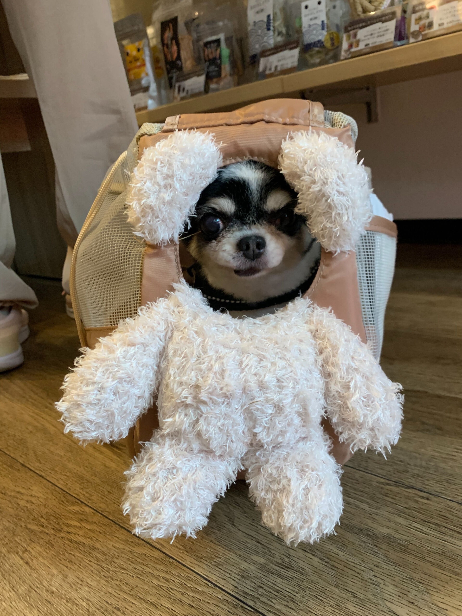 つむぎちゃんご来店ありがとうございます😊