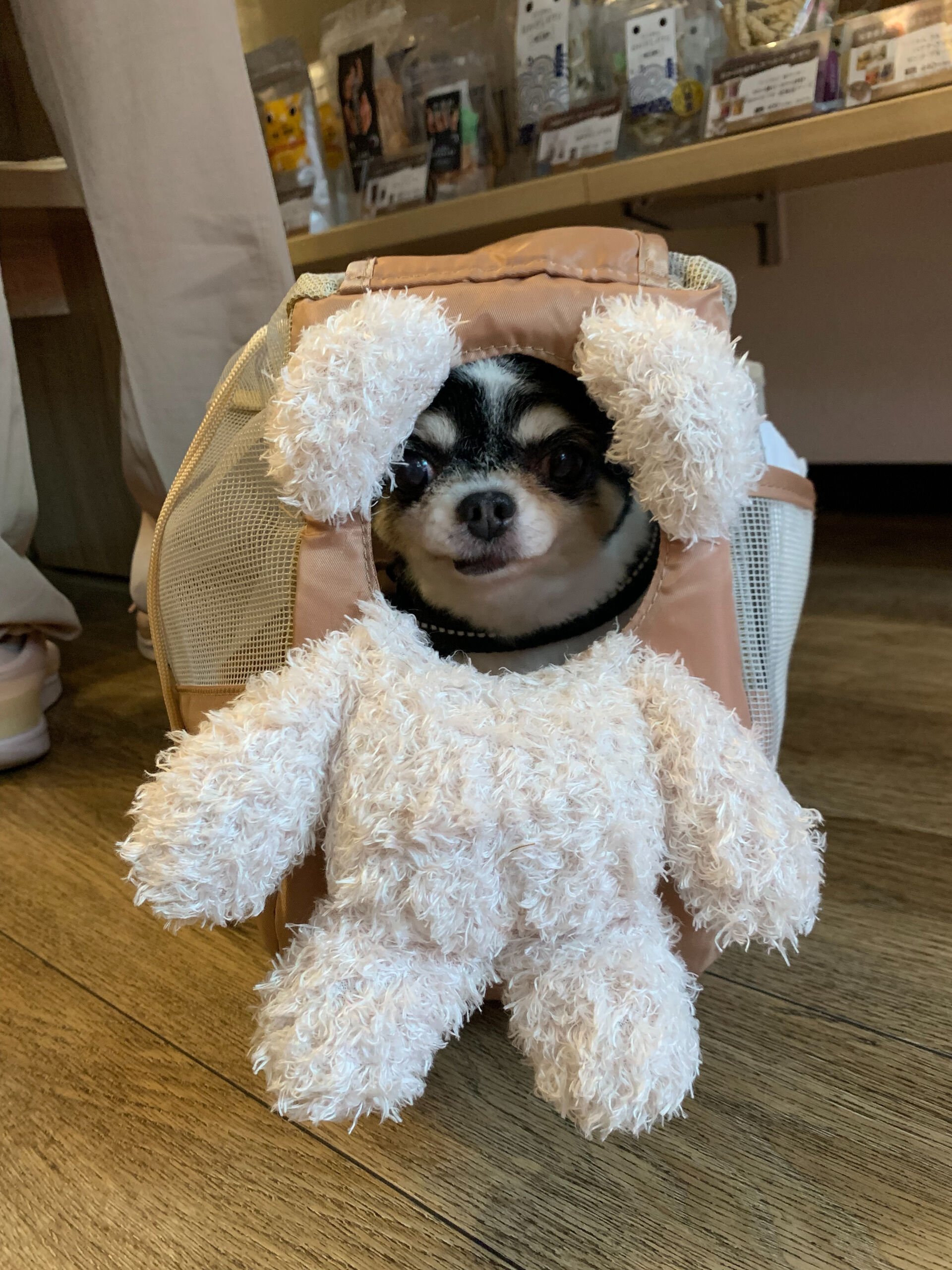 つむぎちゃんご来店ありがとうございます😊