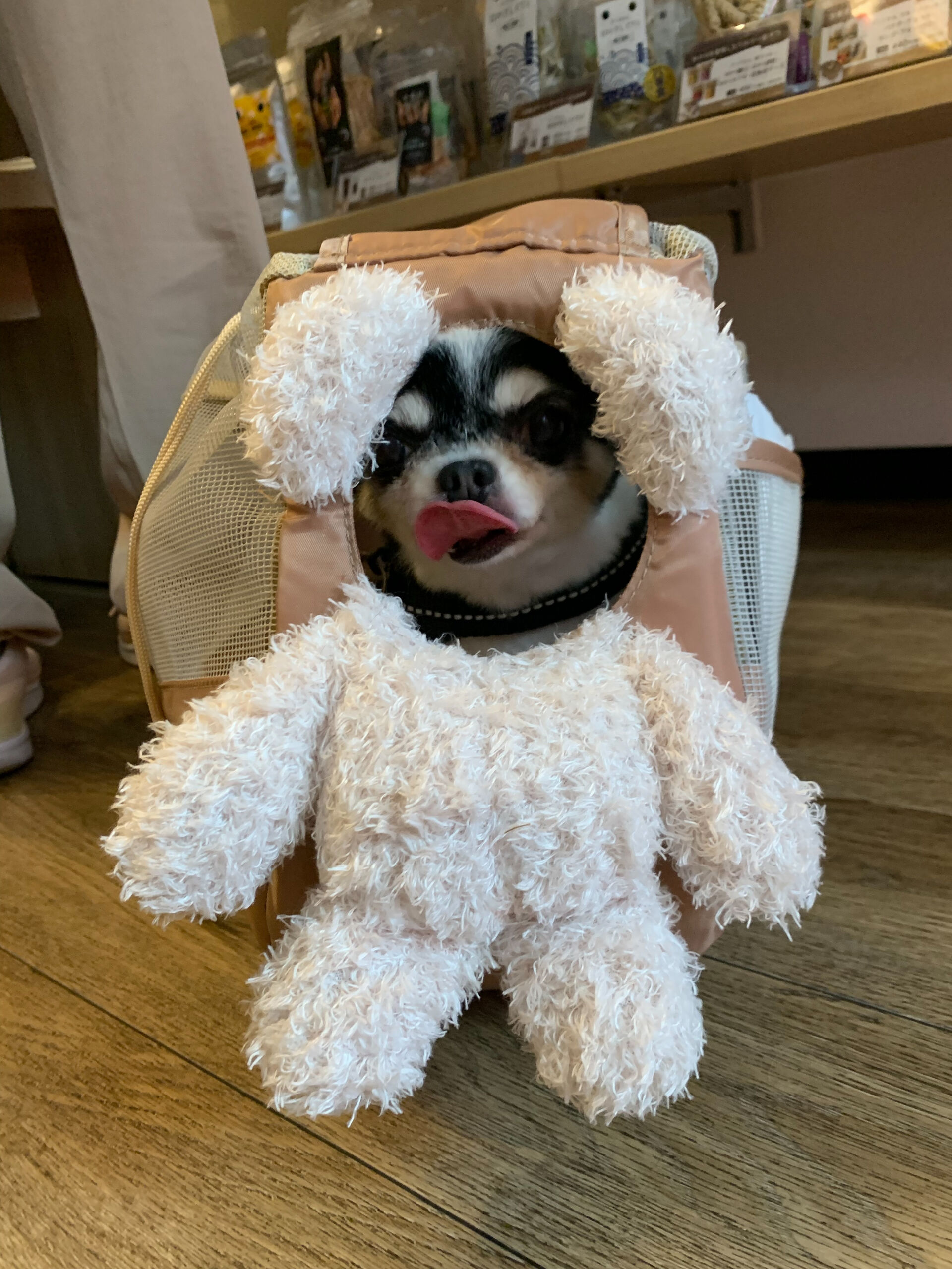 つむぎちゃんご来店ありがとうございます😊