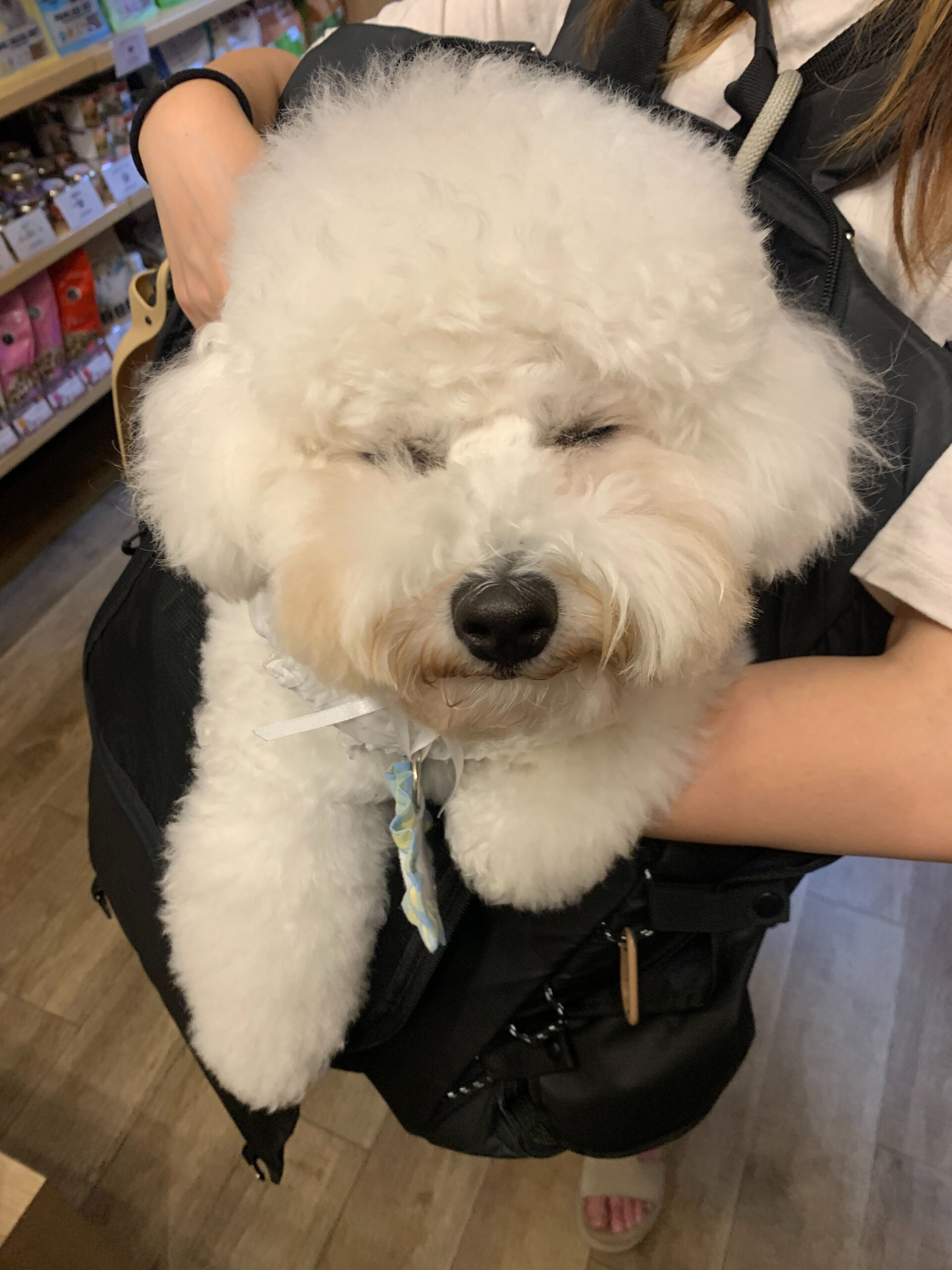 フランくんご来店ありがとうございます😊