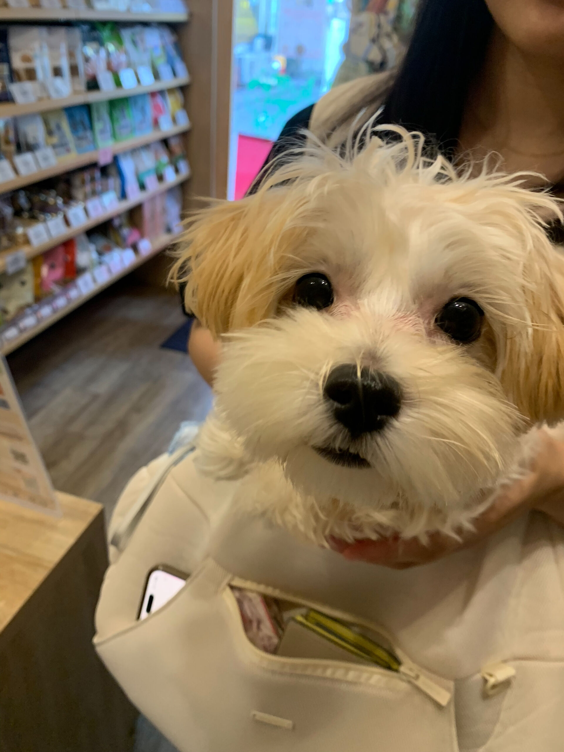 はるちゃんご来店ありがとうございます😊