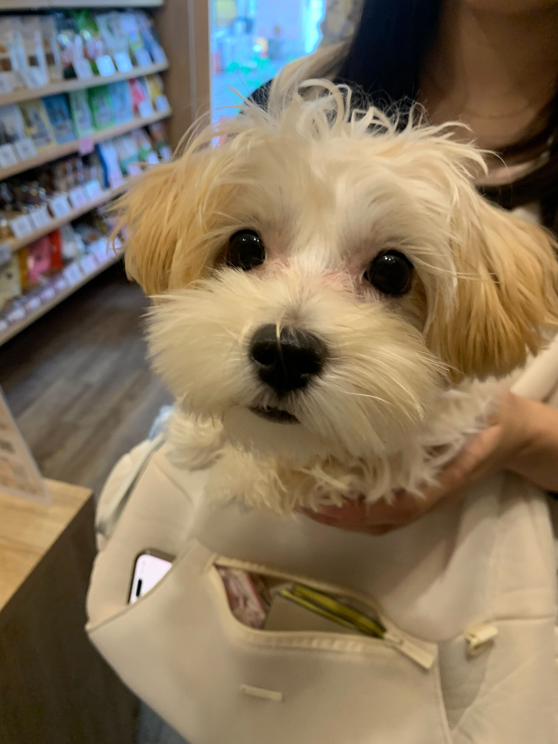 はるちゃんご来店ありがとうございます😊