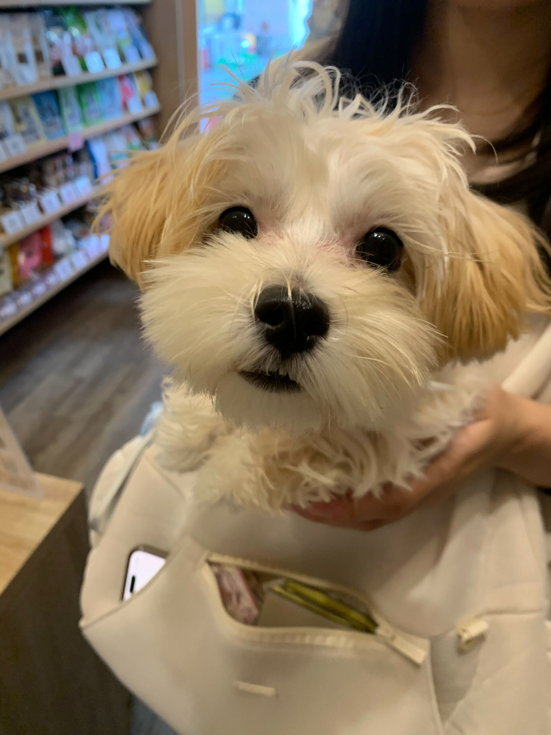 はるちゃんご来店ありがとうございます😊
