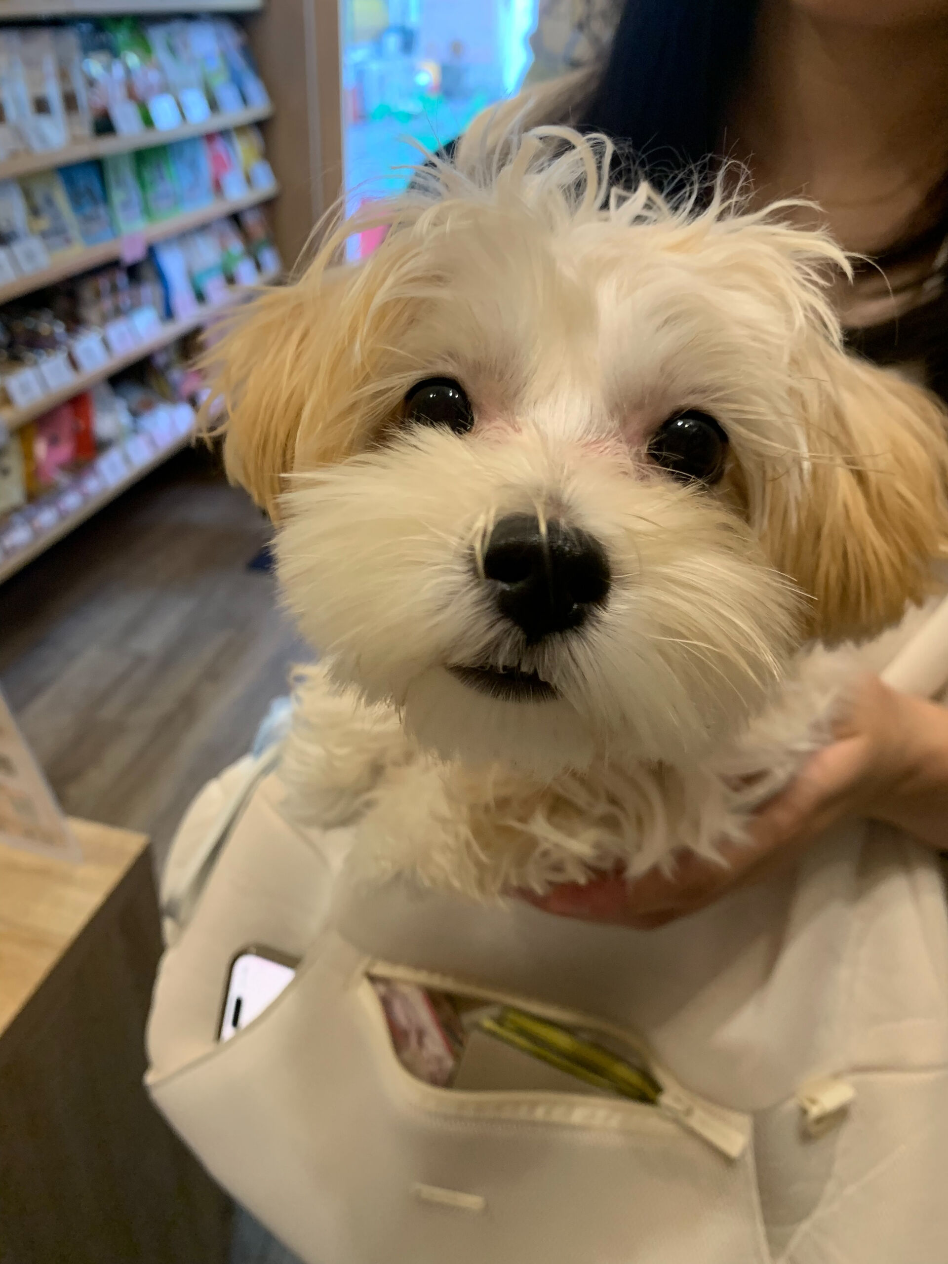はるちゃんご来店ありがとうございます😊