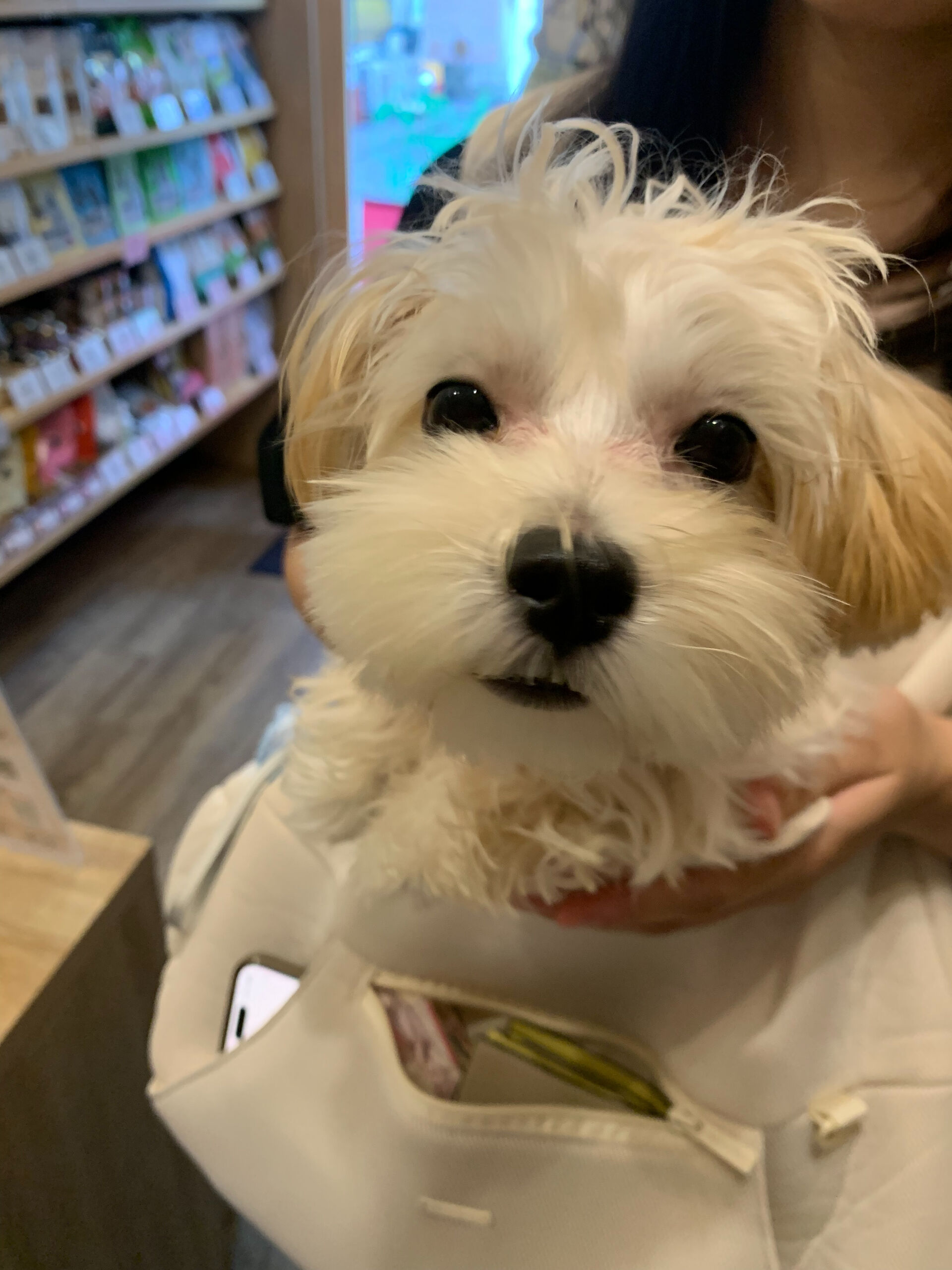 はるちゃんご来店ありがとうございます😊