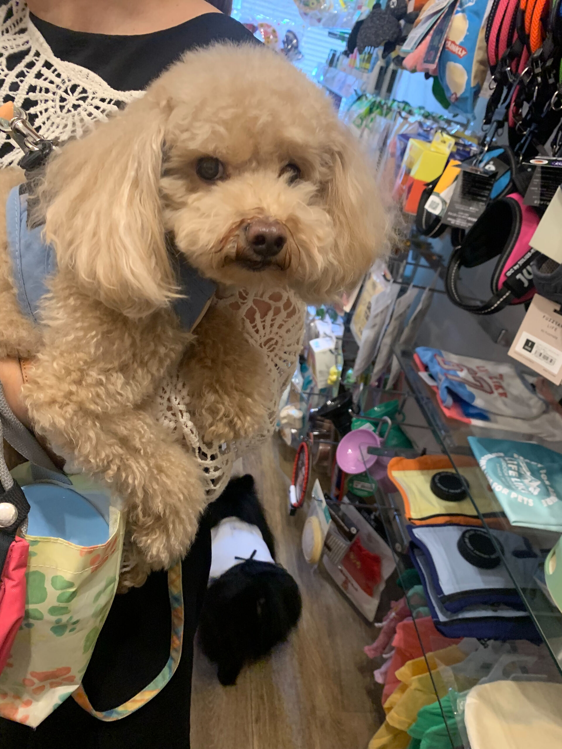 おもちくんご来店ありがとうございます😊