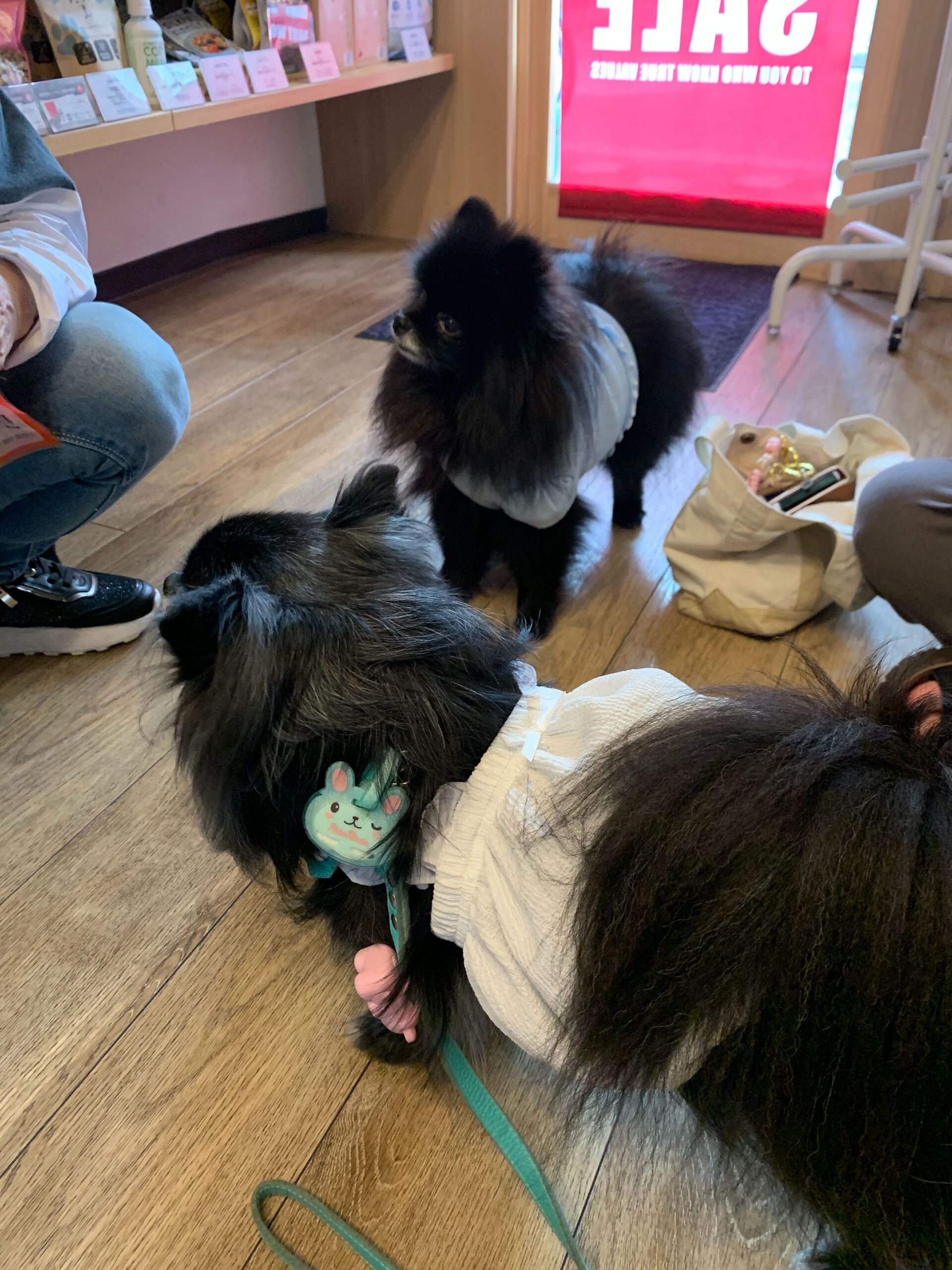 ラナちゃんご来店ありがとうございます😊