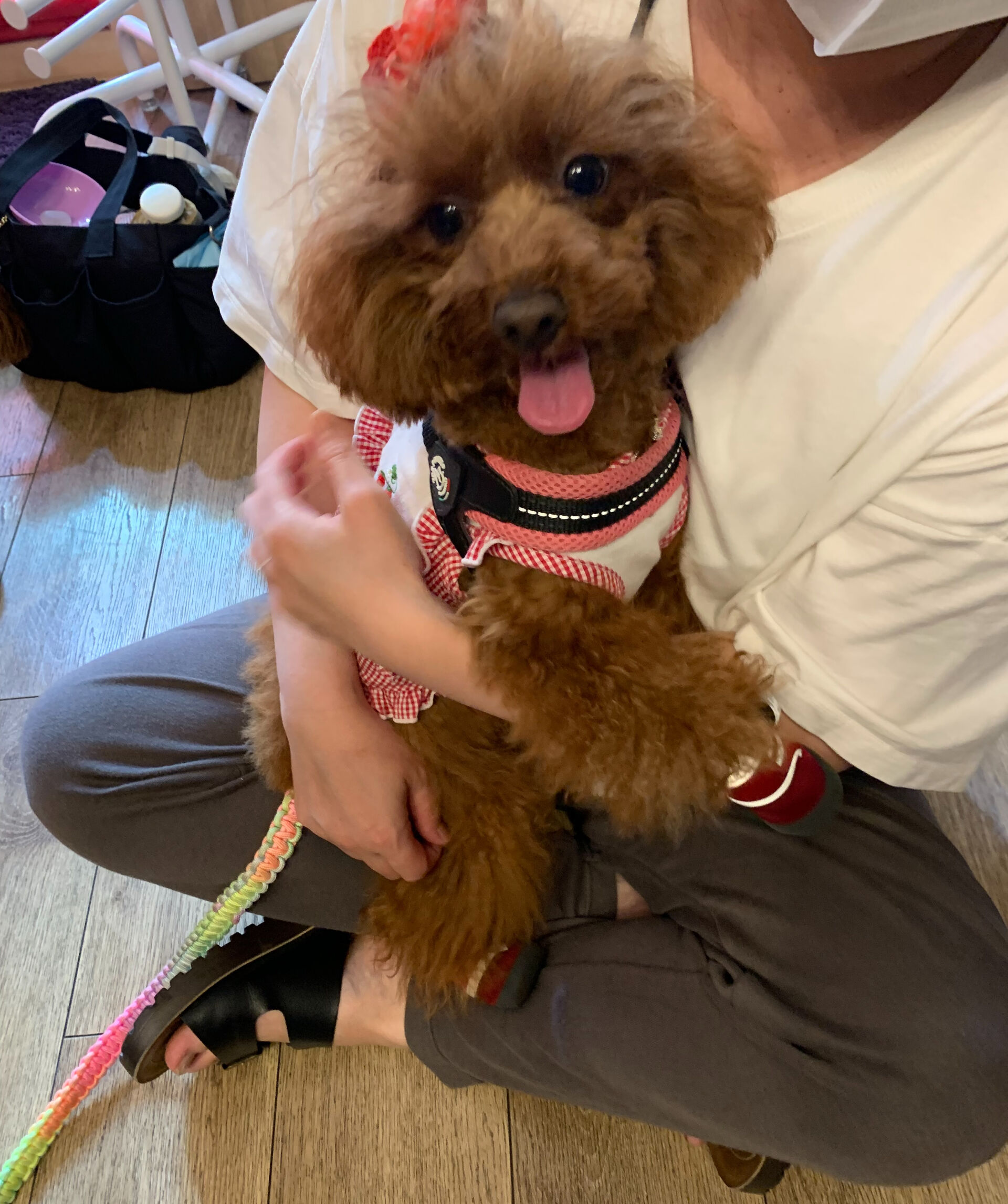 のんのちゃんご来店ありがとうございます😊