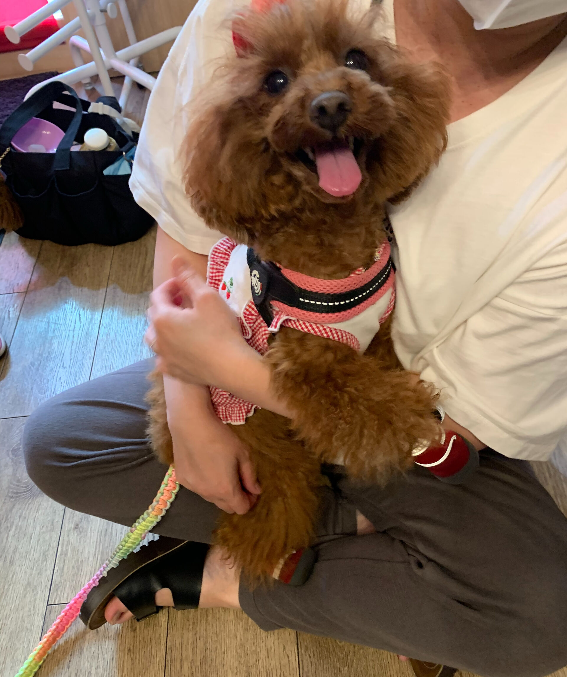 のんのちゃんご来店ありがとうございます😊
