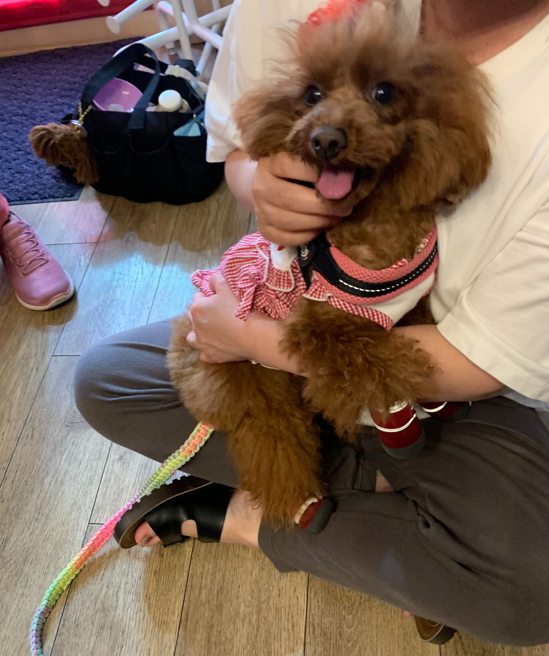 のんのちゃんご来店ありがとうございます😊