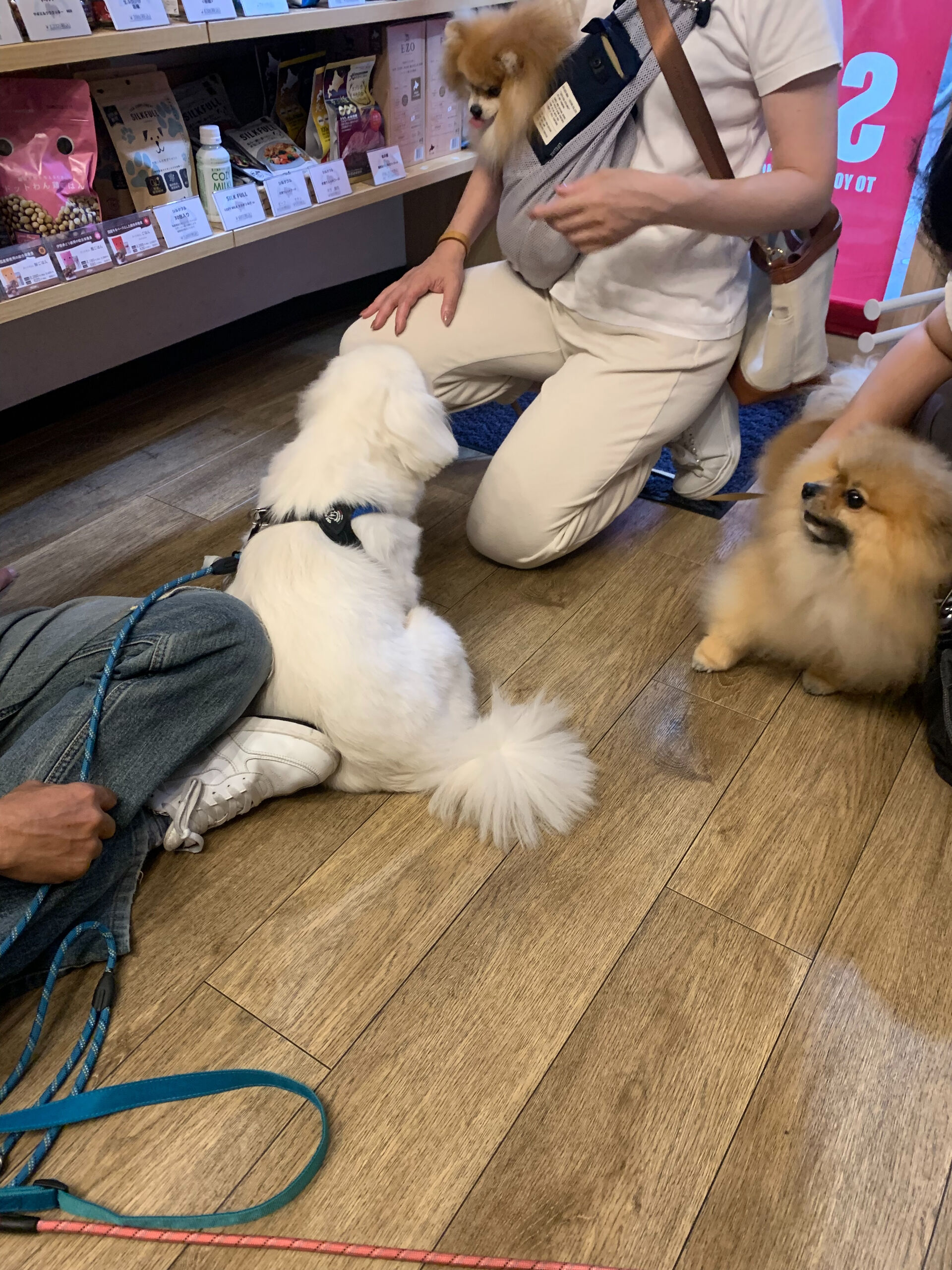そらくん、ルナちゃんご来店ありがとうございます😊