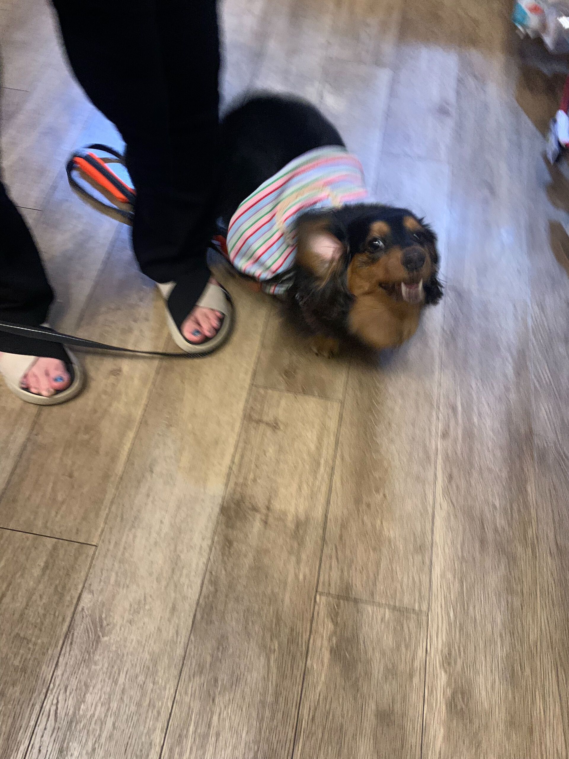 本日の大トリは、倖ちゃん福ちゃんでしたー‼︎