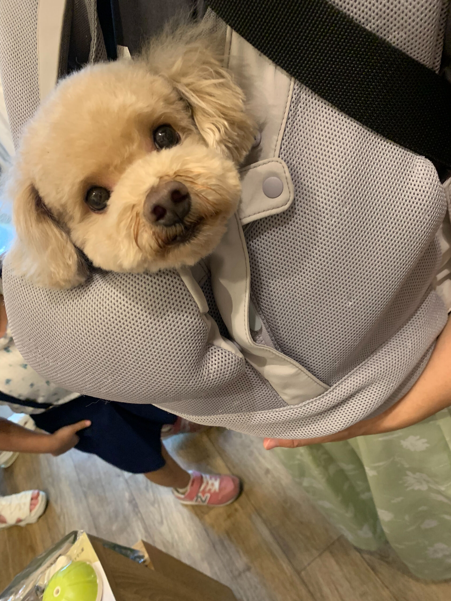おもちくんご来店ありがとうございます😊