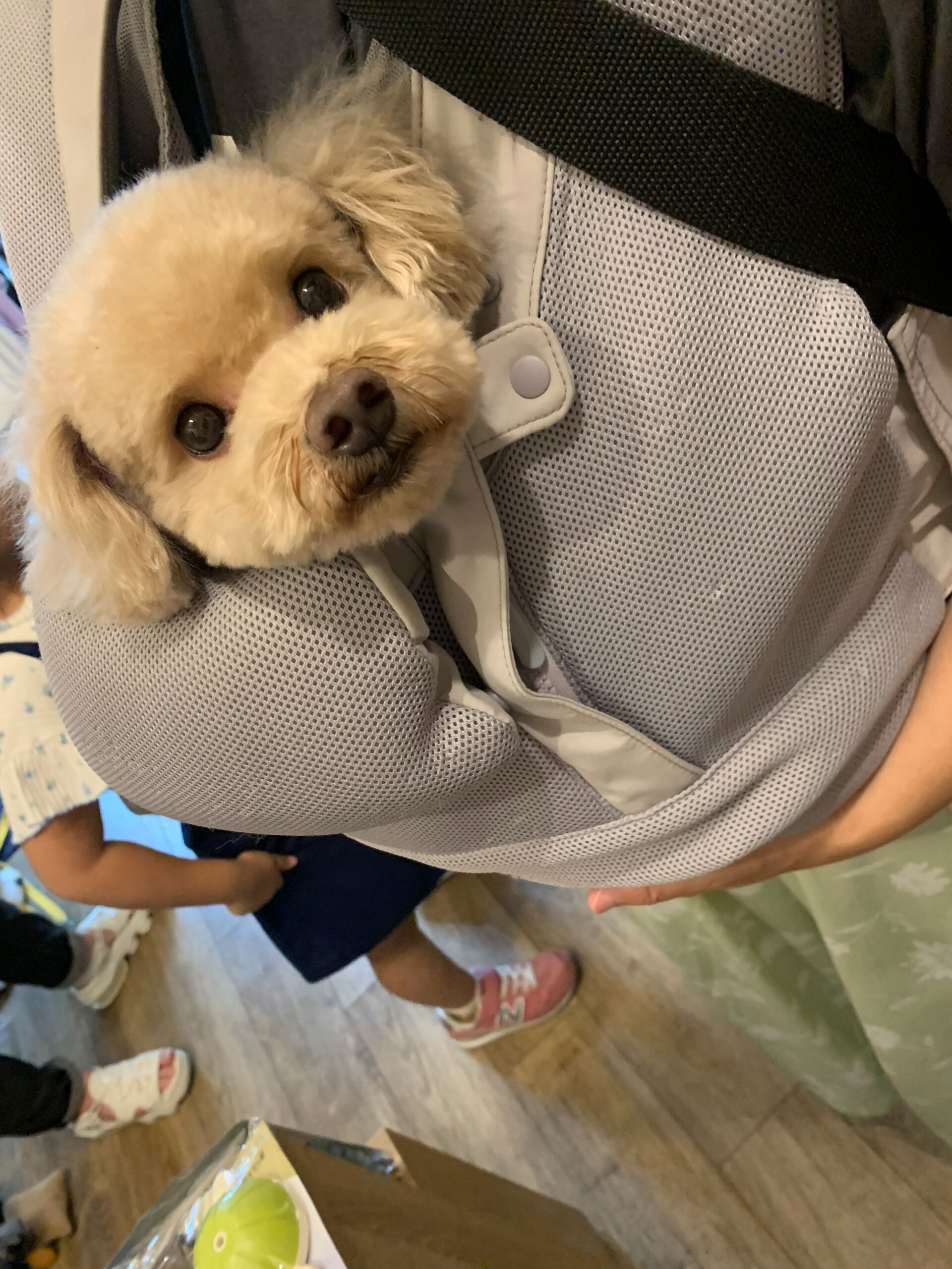 おもちくんご来店ありがとうございます😊