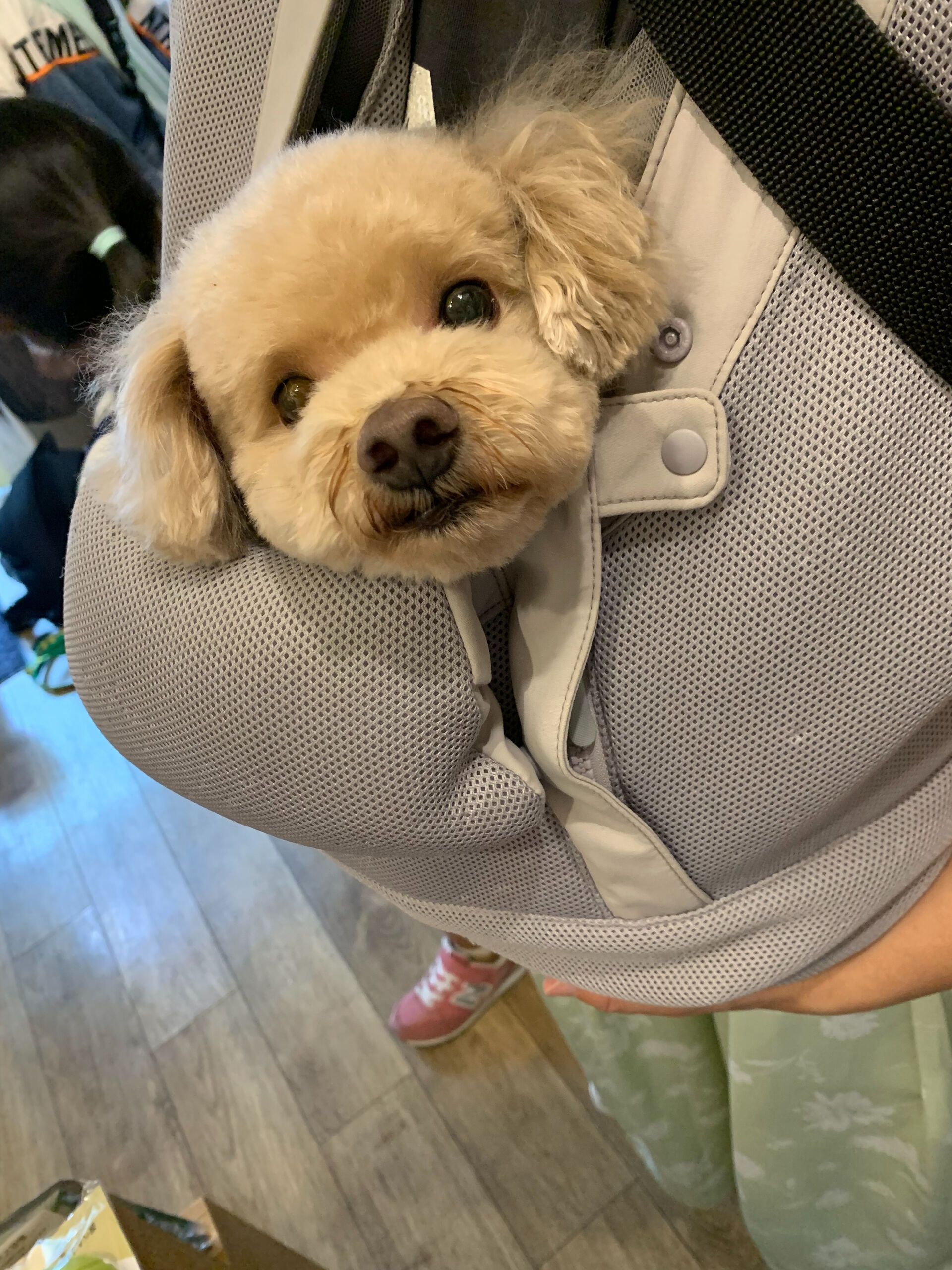 おもちくんご来店ありがとうございます😊