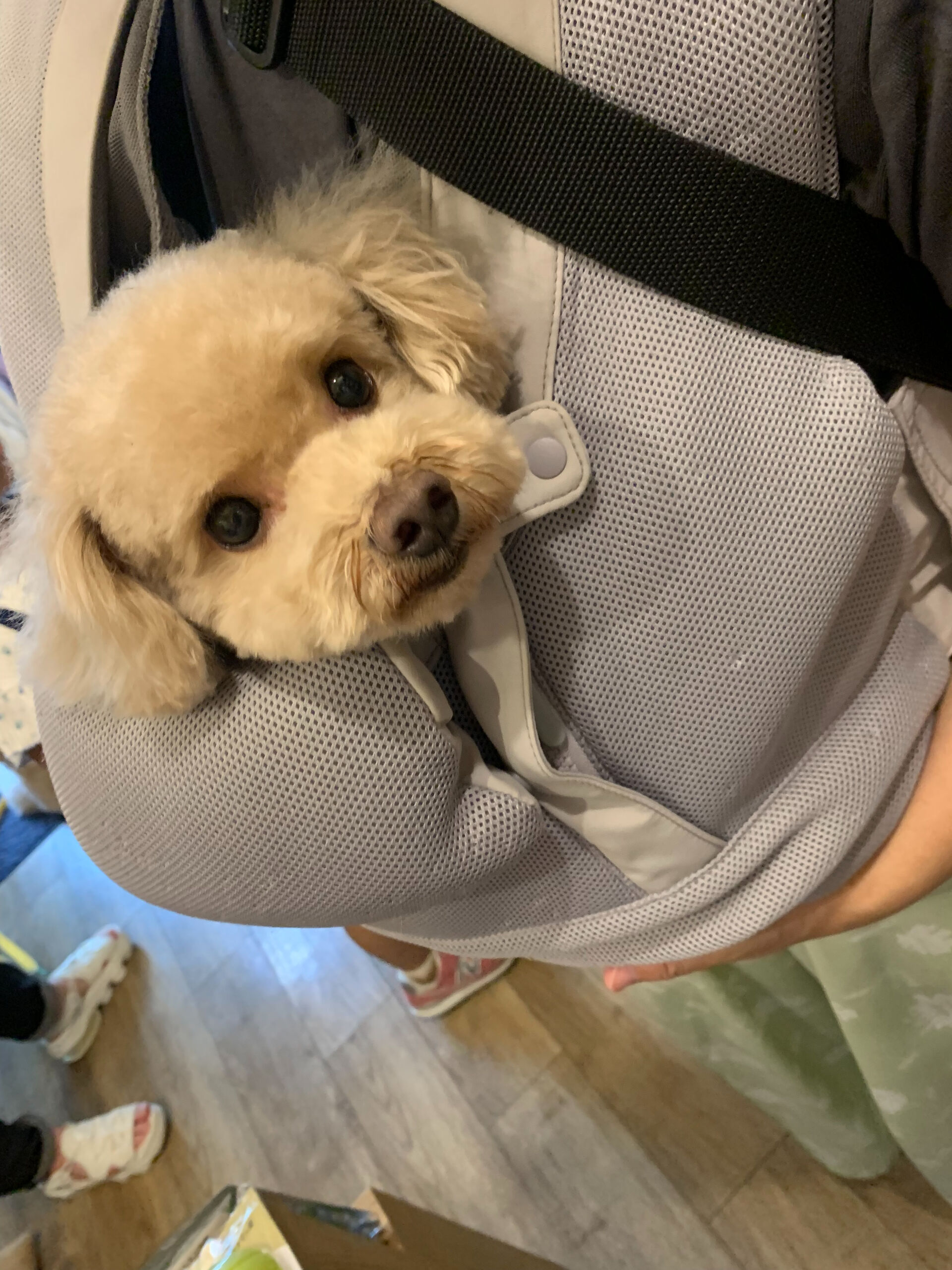 おもちくんご来店ありがとうございます😊