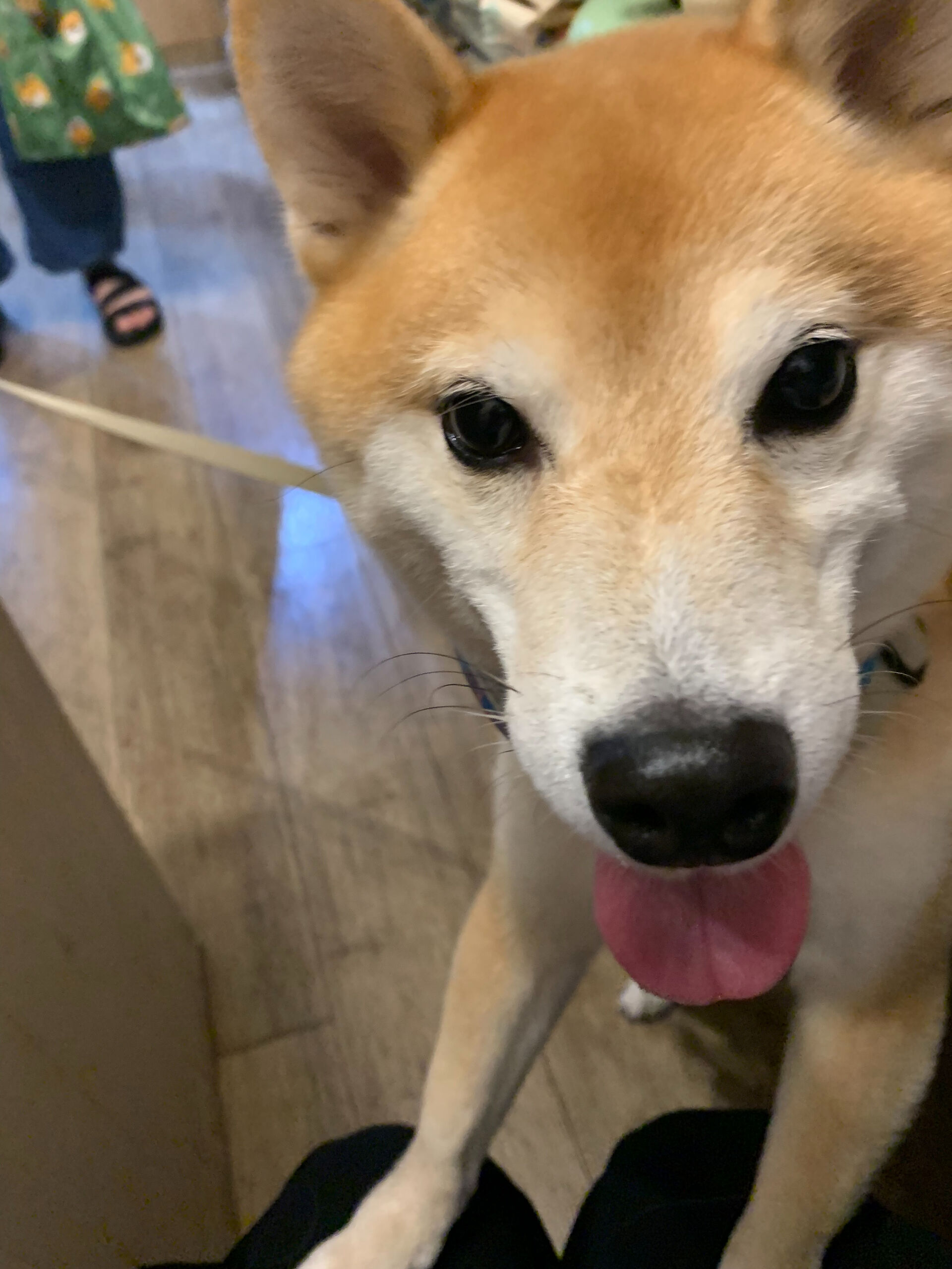 蓮くんご来店ありがとうございます😊