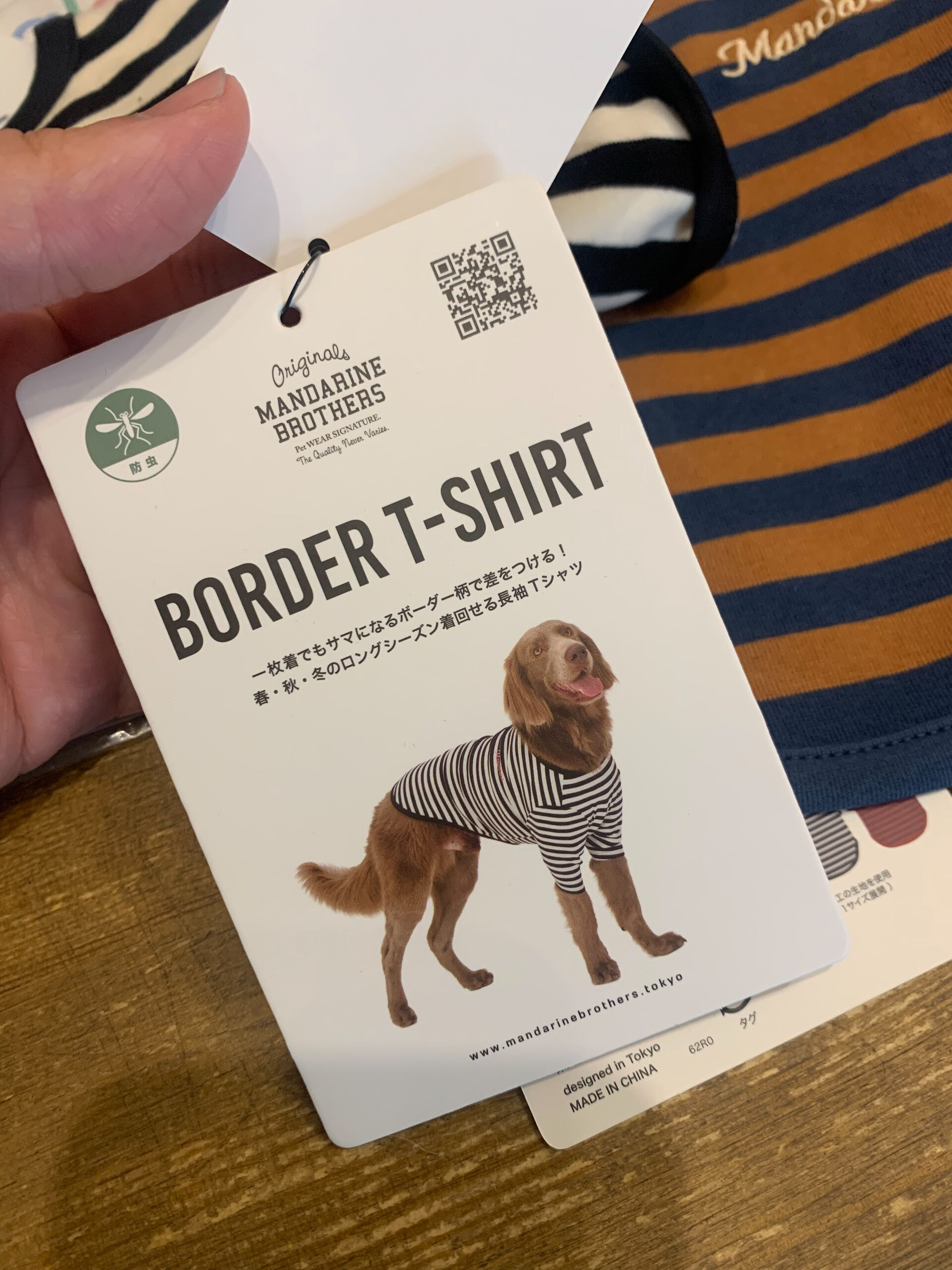 マンダリンブラザーズ　ボーダーTシャツ‼︎