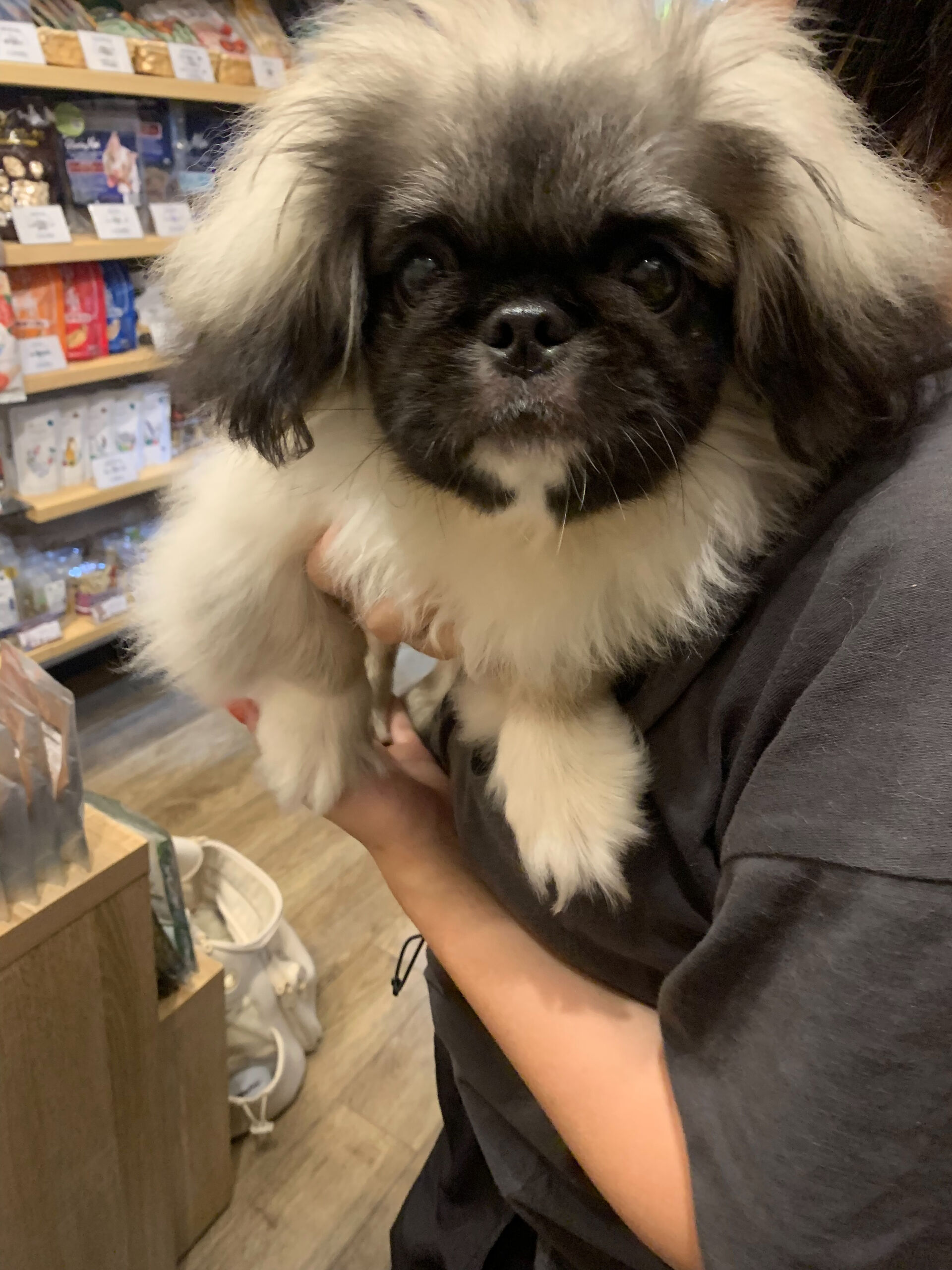 ロハスくんご来店ありがとうございます😊