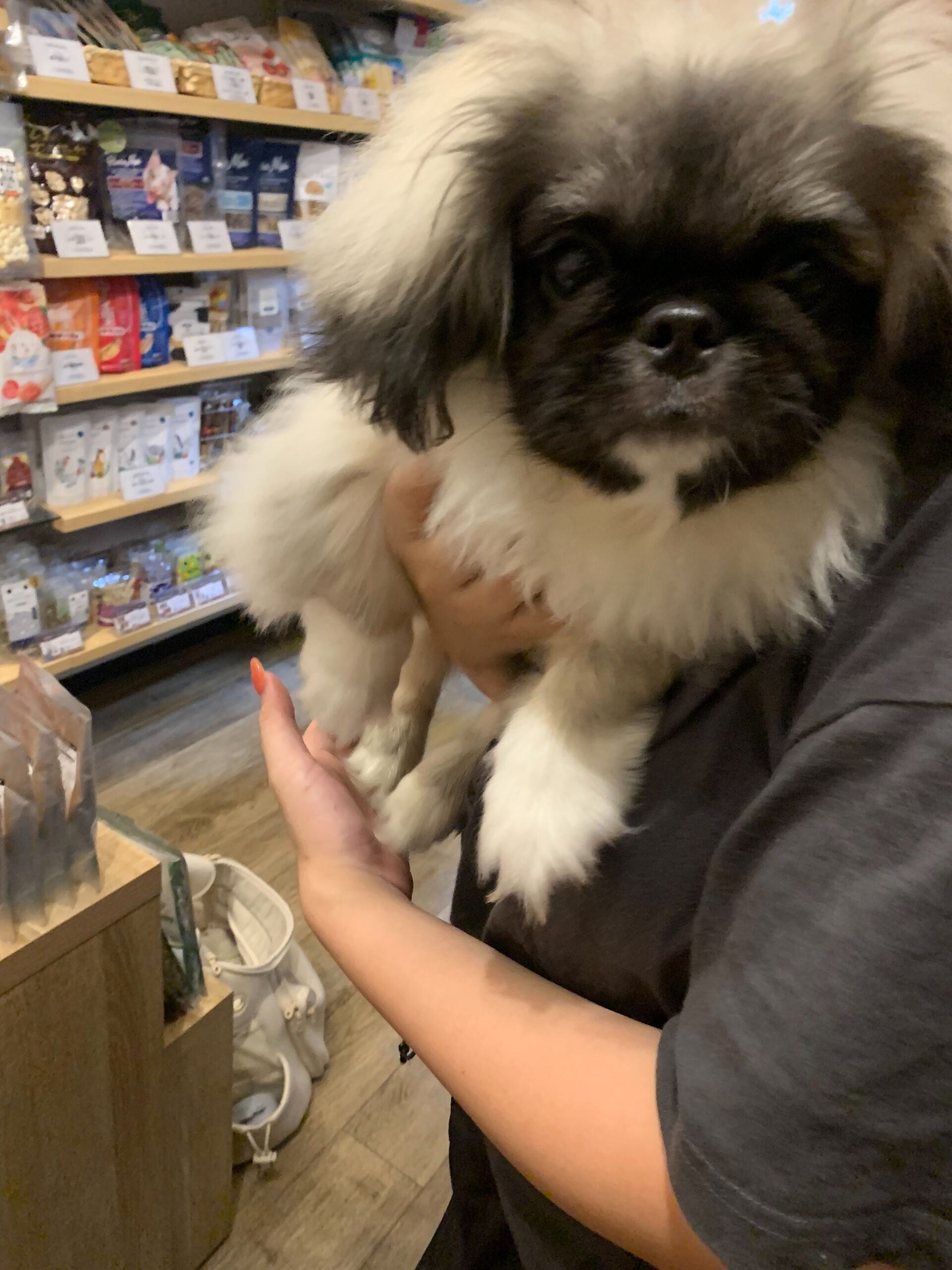 ロハスくんご来店ありがとうございます😊