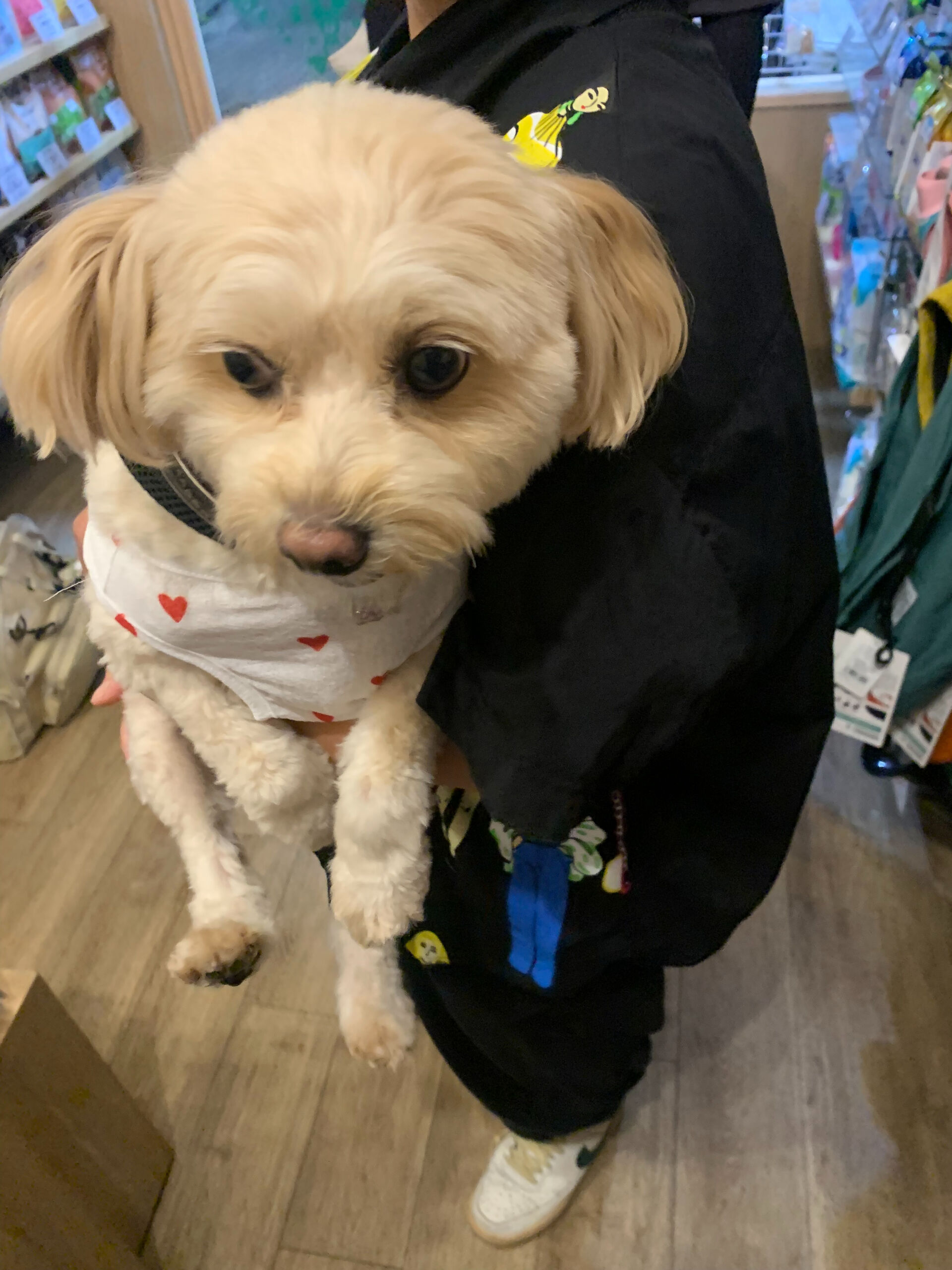 ウコちゃん、スコくんご来店ありがとうございます😊
