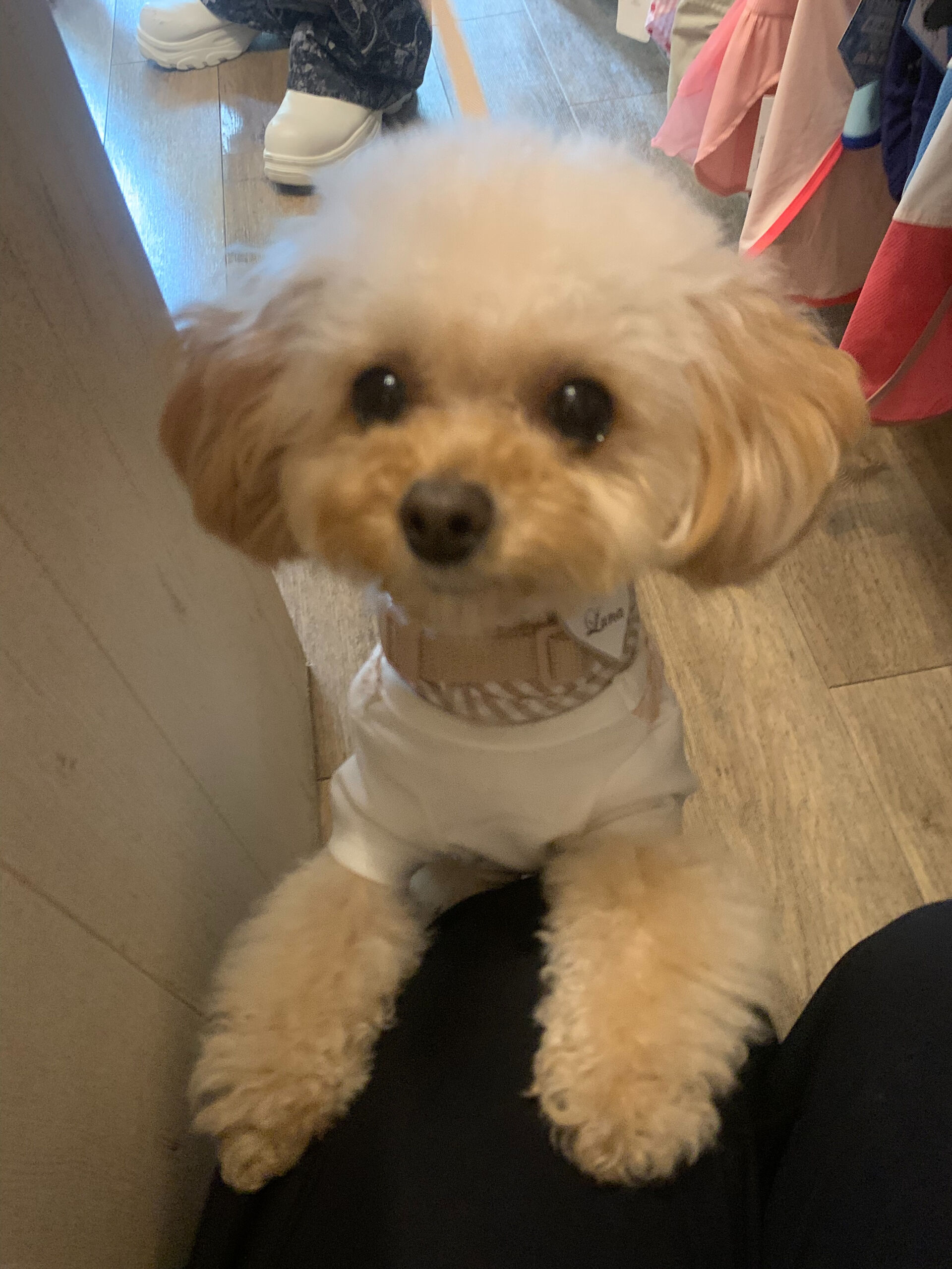 ルナちゃんご来店ありがとうございます😊