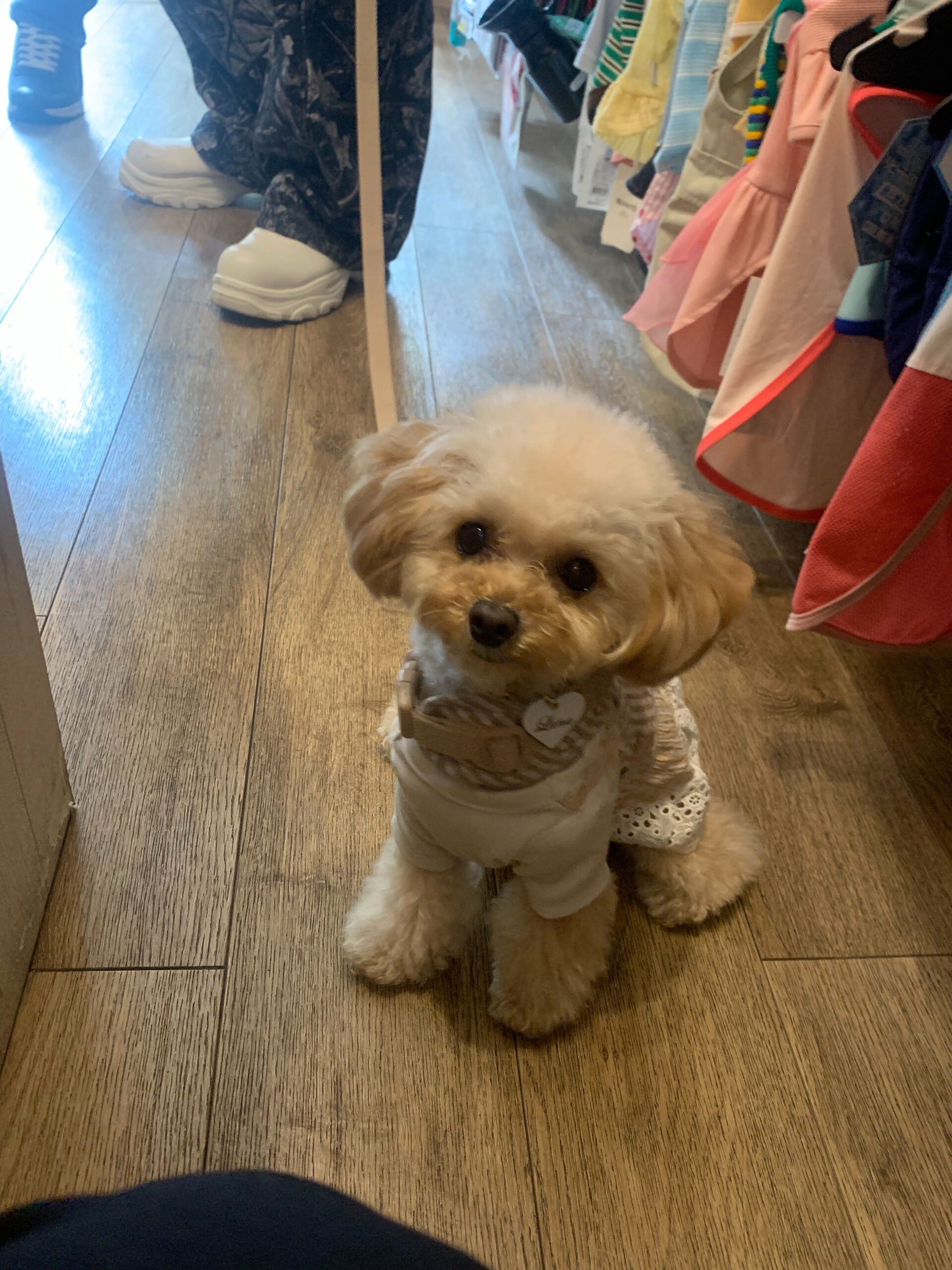 ルナちゃんご来店ありがとうございます😊