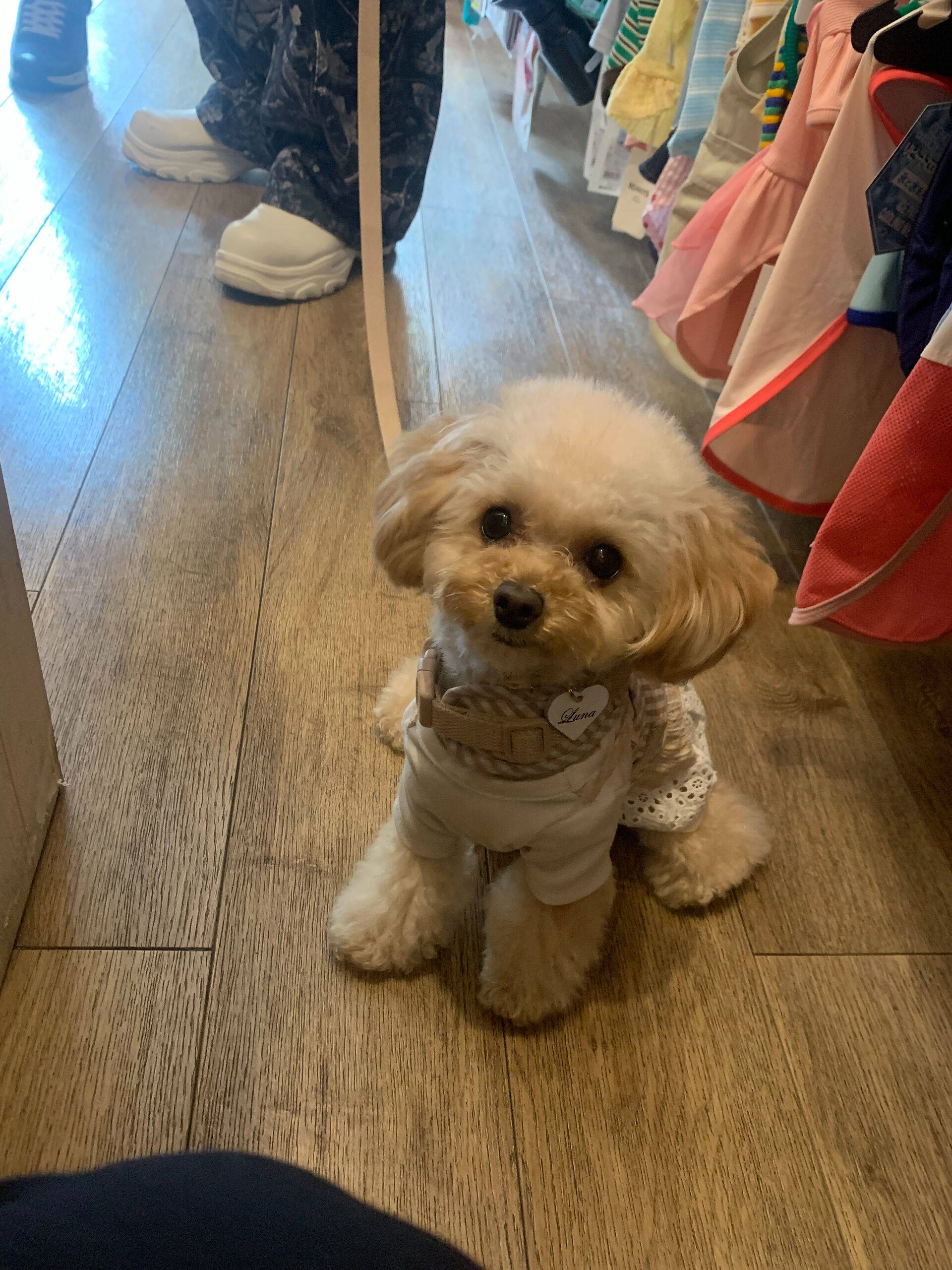 ルナちゃんご来店ありがとうございます😊