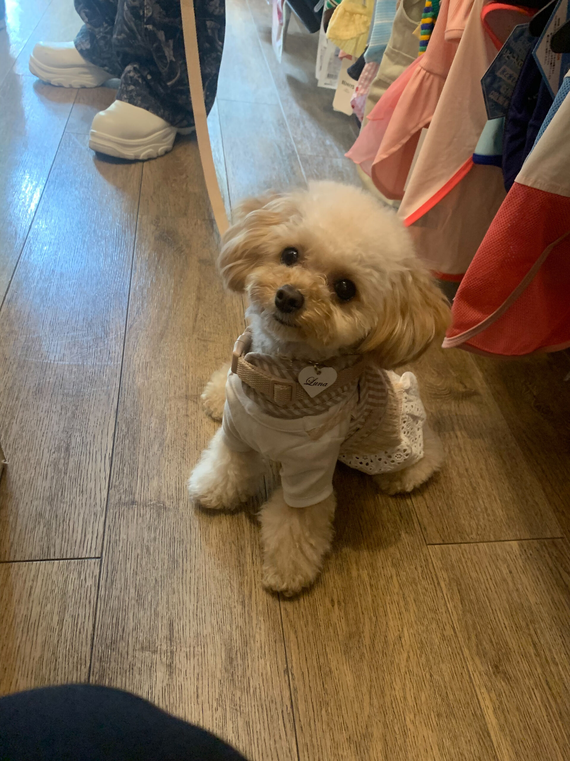 ルナちゃんご来店ありがとうございます😊