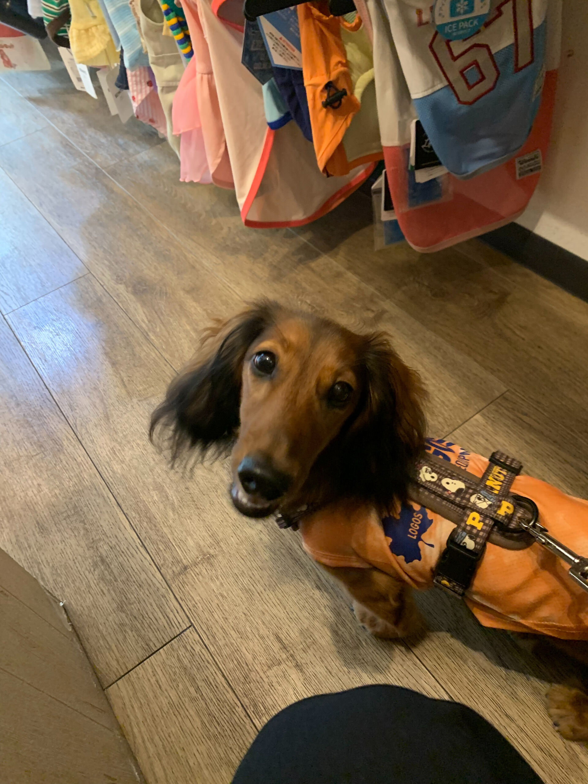 クッキーくんご来店ありがとうございます😊