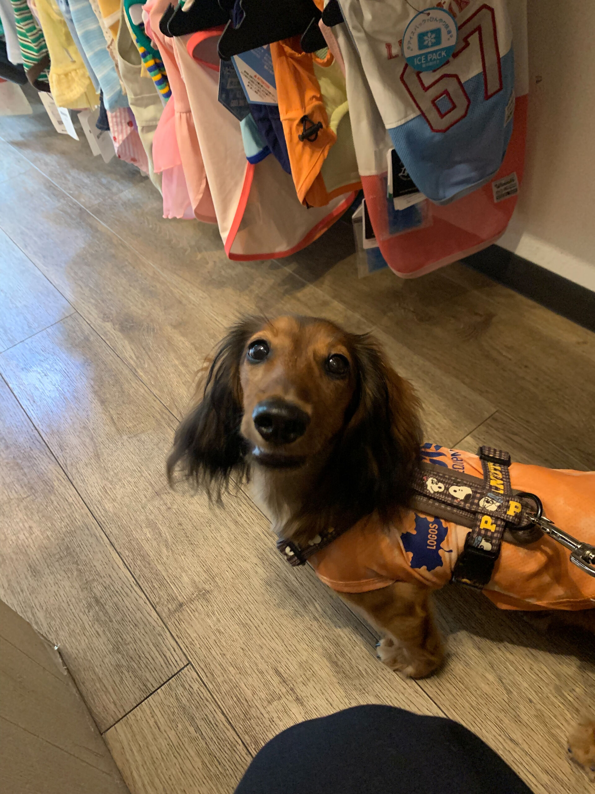 クッキーくんご来店ありがとうございます😊
