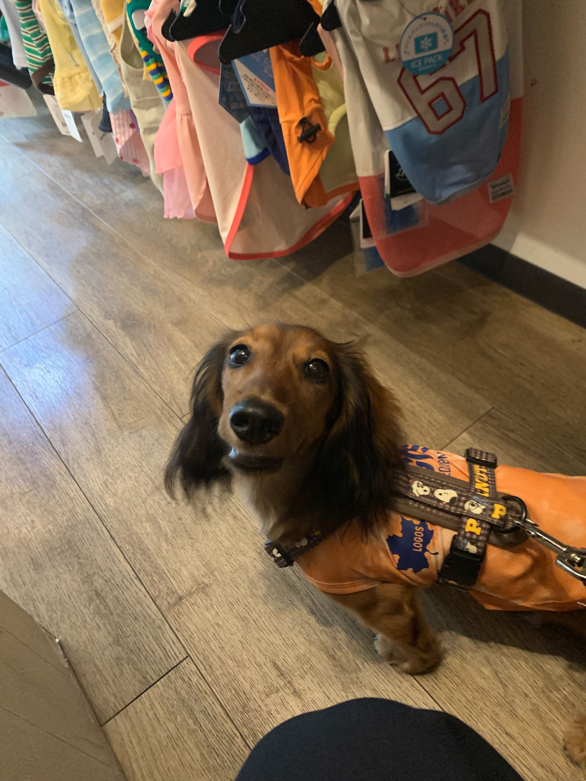 クッキーくんご来店ありがとうございます😊