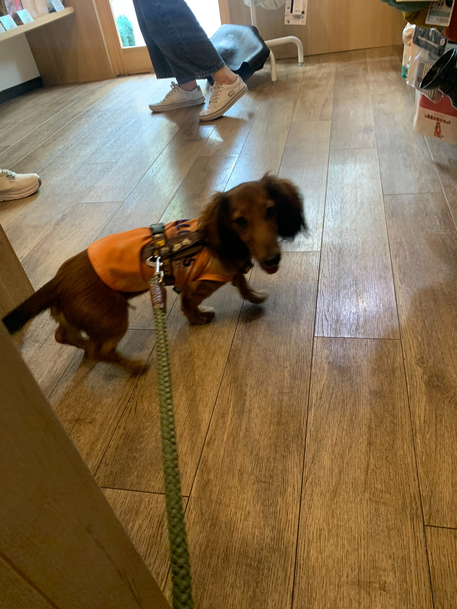 クッキーくんご来店ありがとうございます😊
