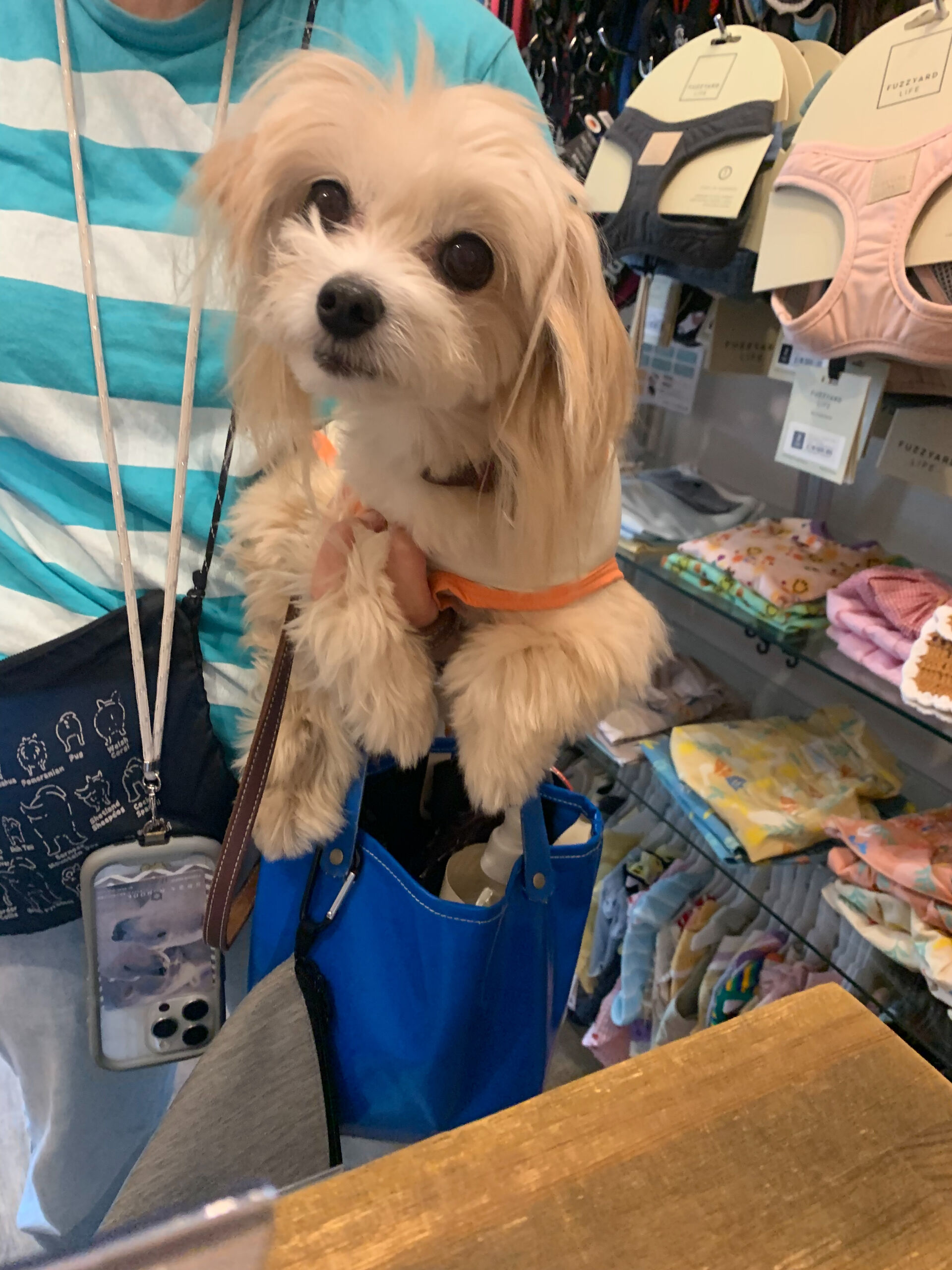 きみちゃんご来店ありがとうございます😊