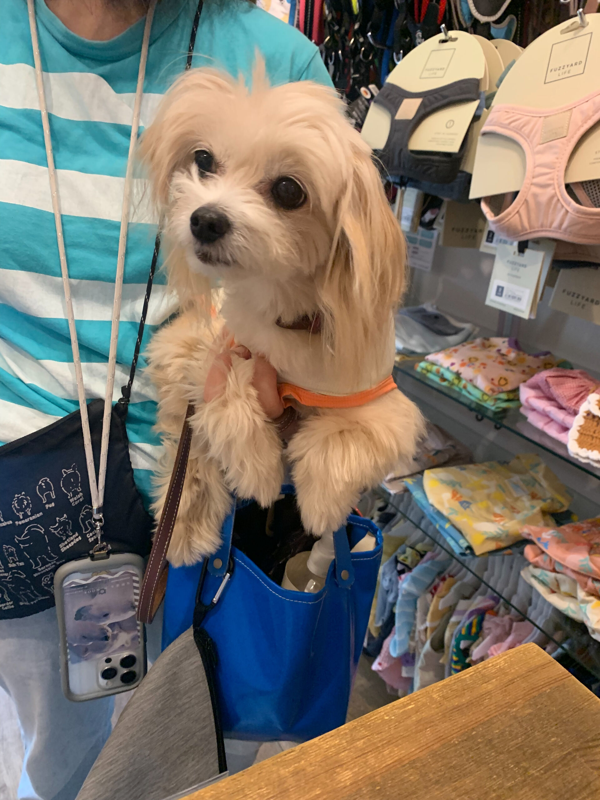 きみちゃんご来店ありがとうございます😊