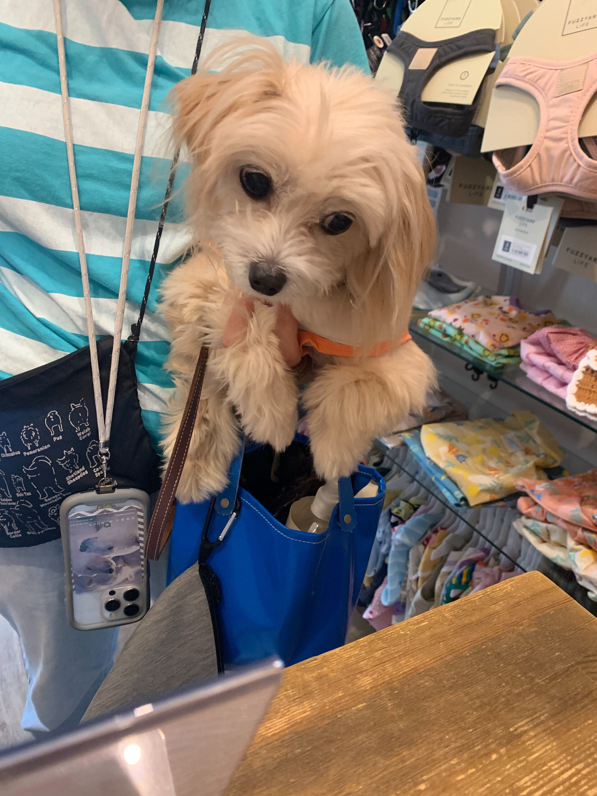 きみちゃんご来店ありがとうございます😊