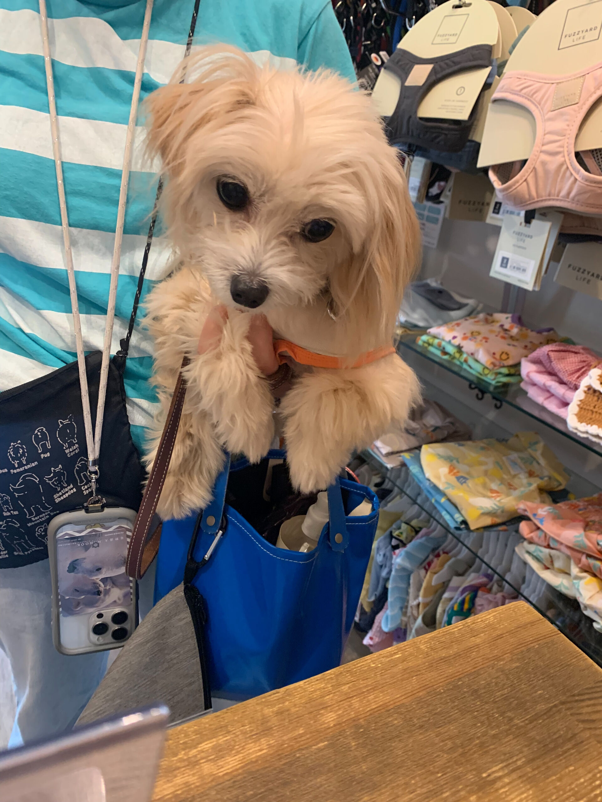 きみちゃんご来店ありがとうございます😊