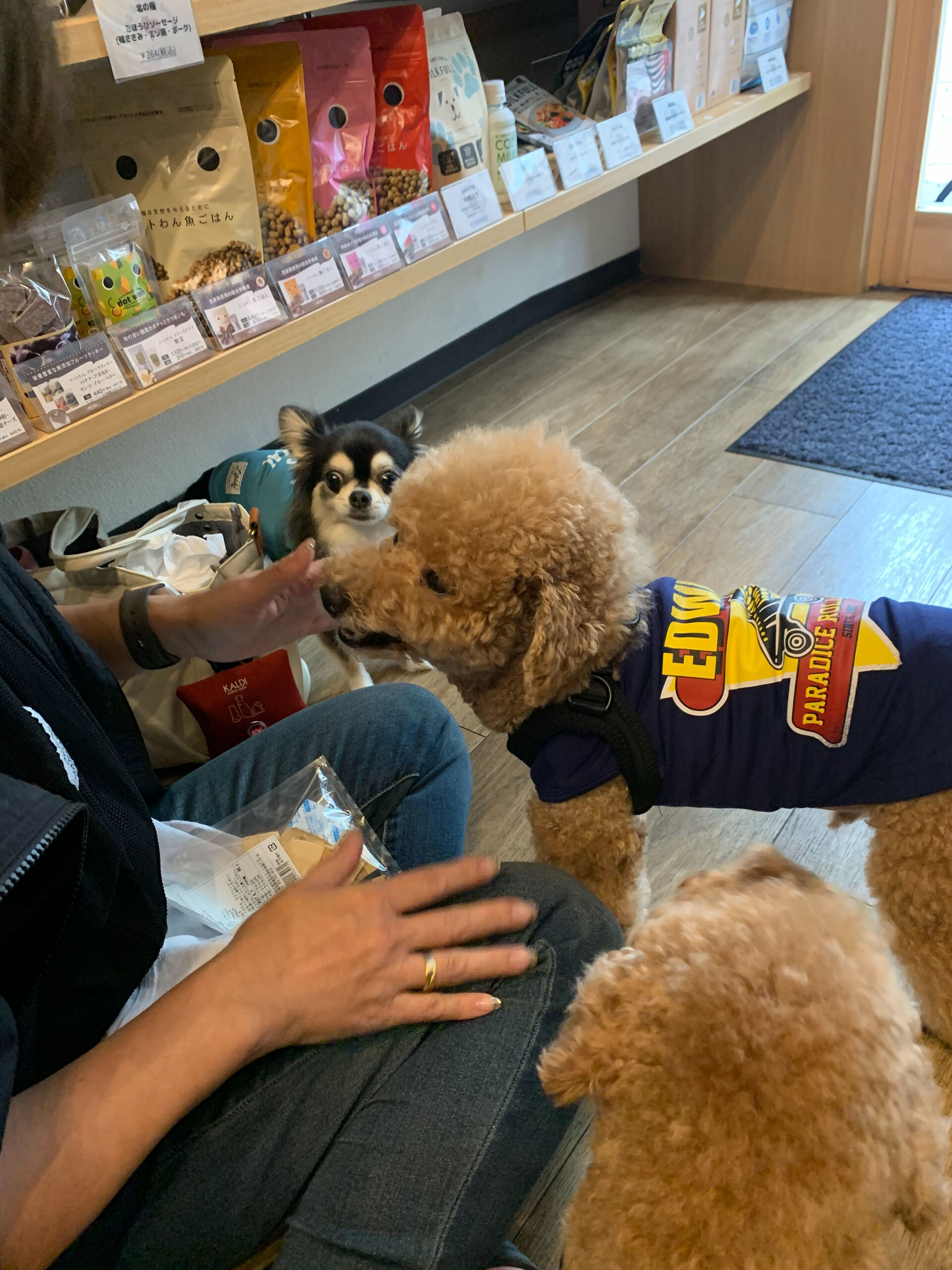 ティアくん、レオくん、こはるちゃんおはようございます😃
