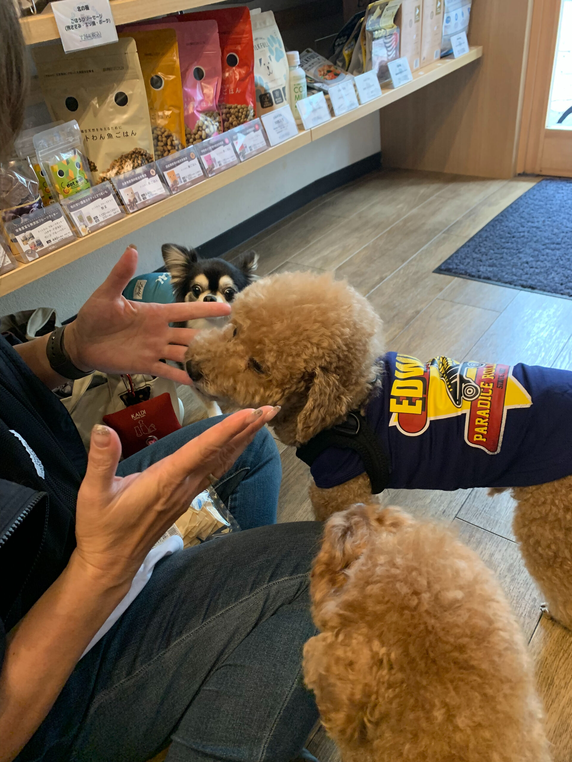 ティアくん、レオくん、こはるちゃんおはようございます😃