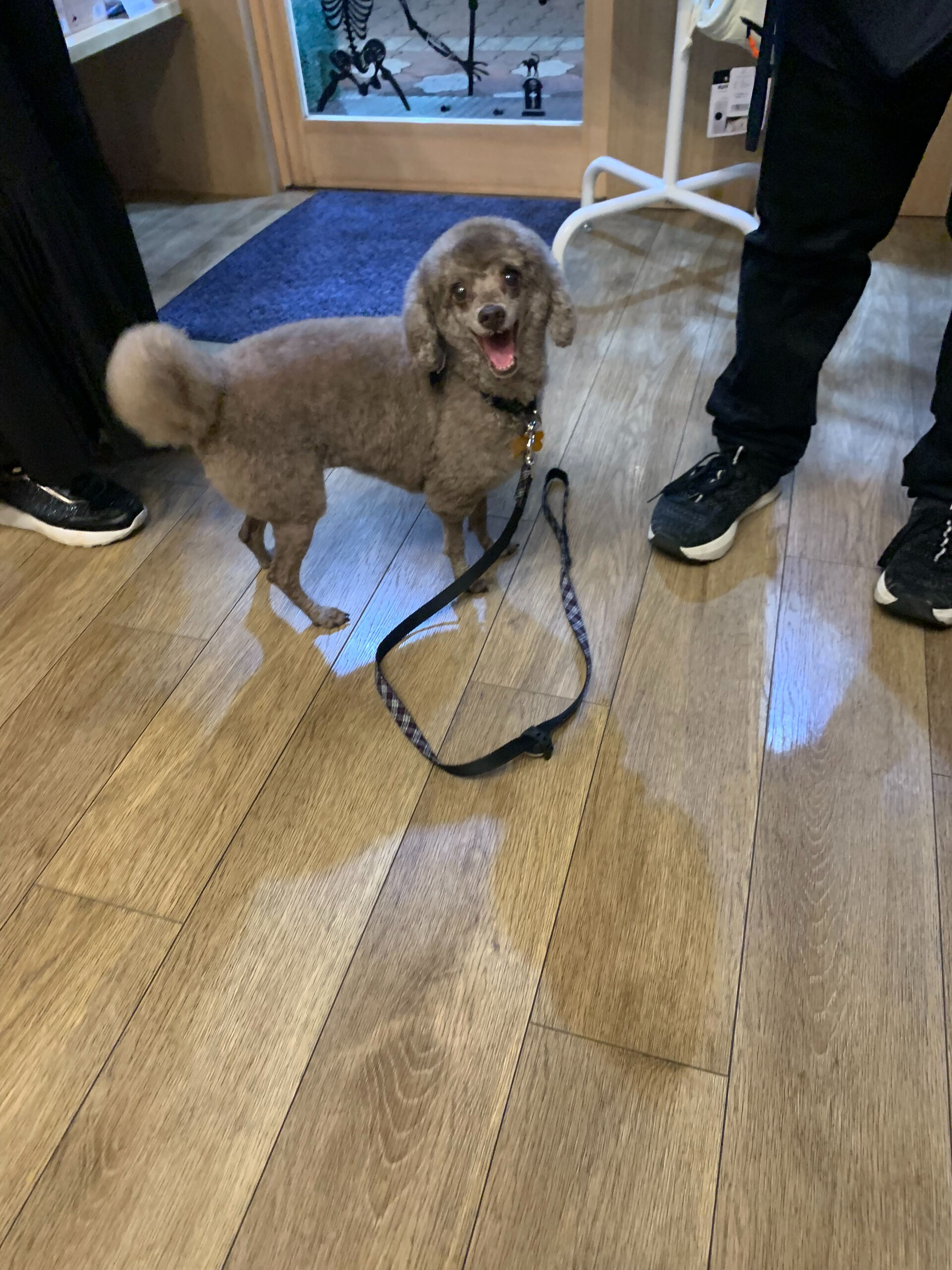 本日の大トリはちこちゃんでしたー👏