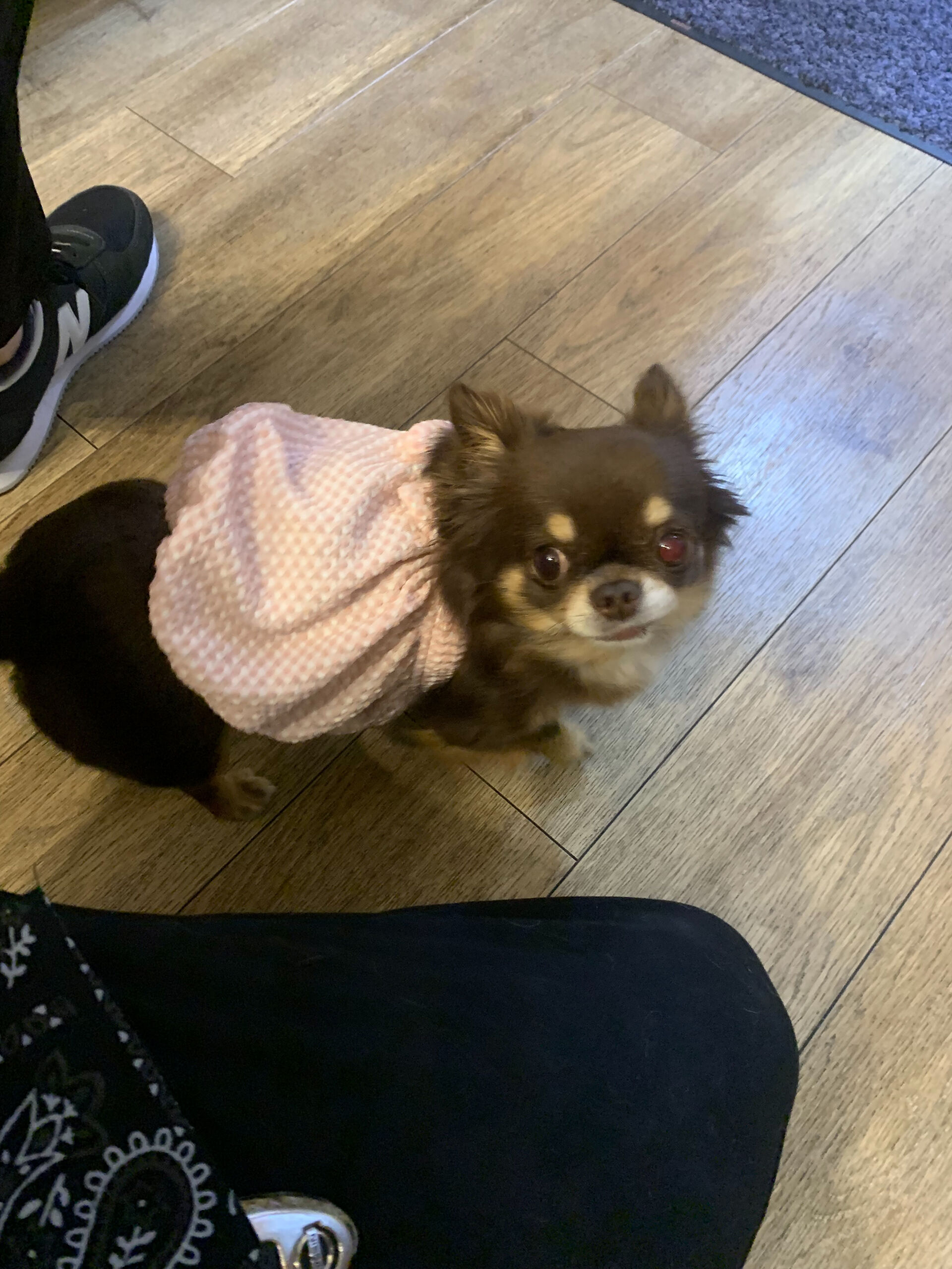 テンちゃんご来店ありがとうございます😊