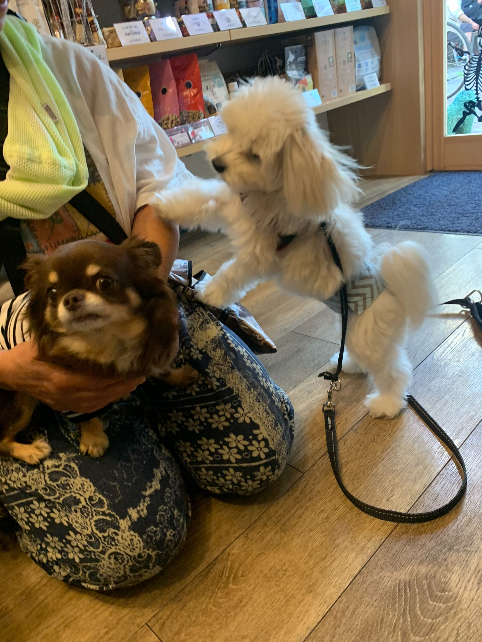 本日の大トリはテンちゃんでしたー👏👏