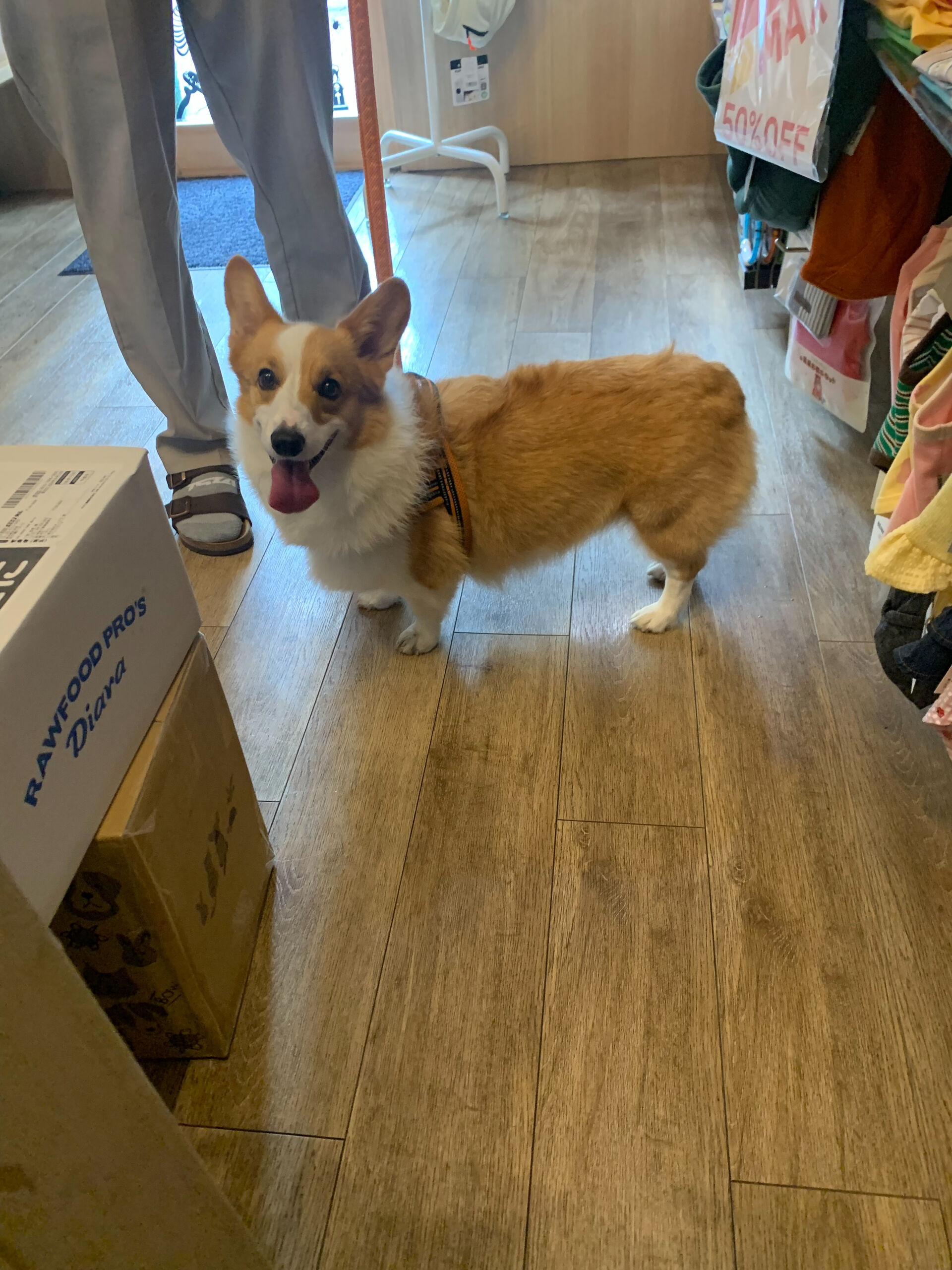 はなちゃんご来店ありがとうございます😊
