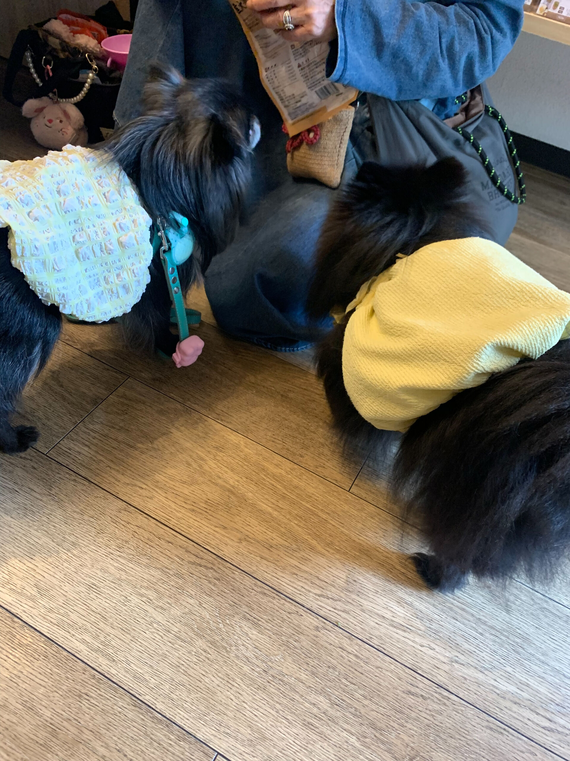 ラナちゃんご来店ありがとうございます😊