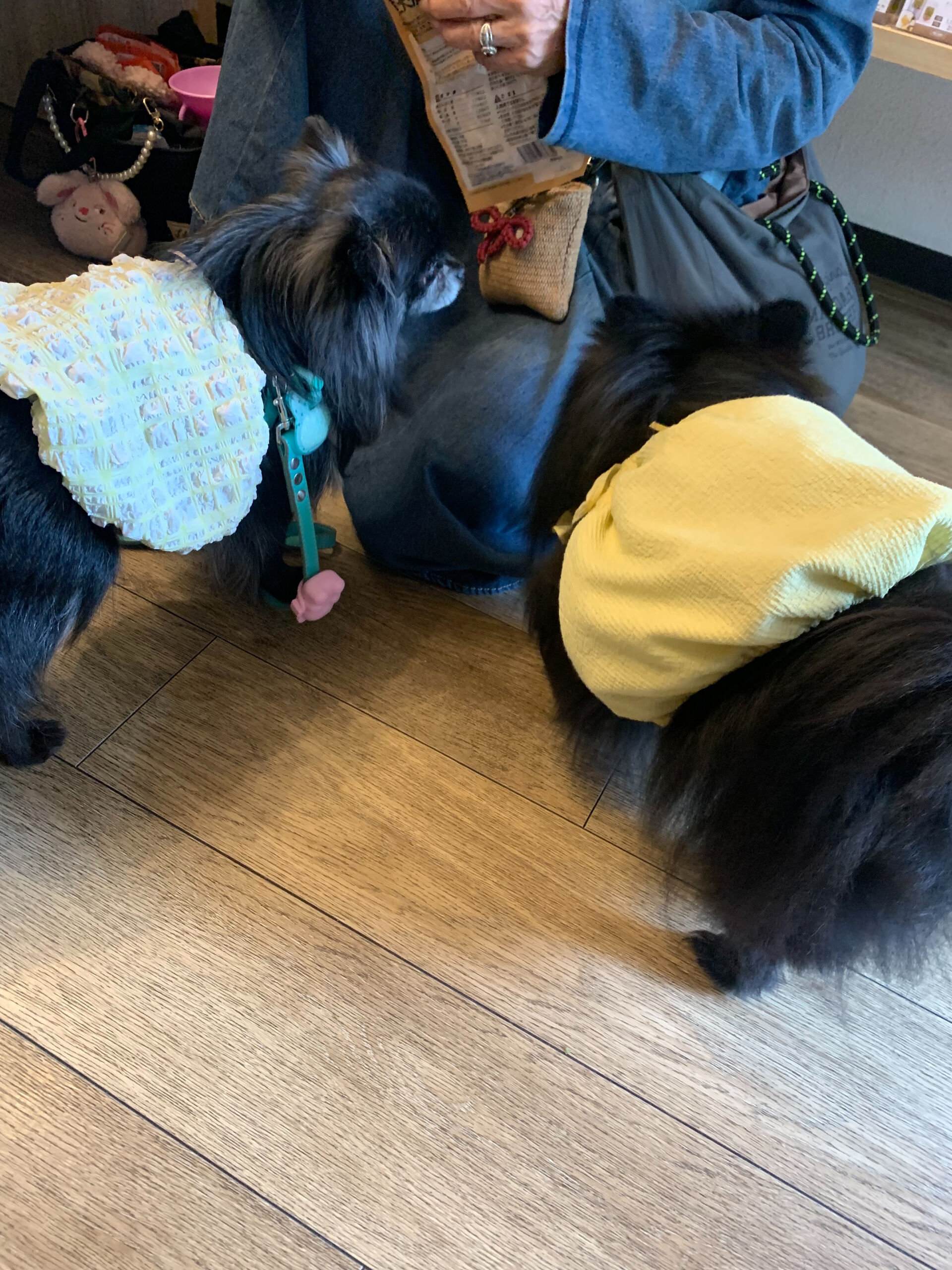 ラナちゃんご来店ありがとうございます😊